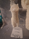 Amiable Alpaca