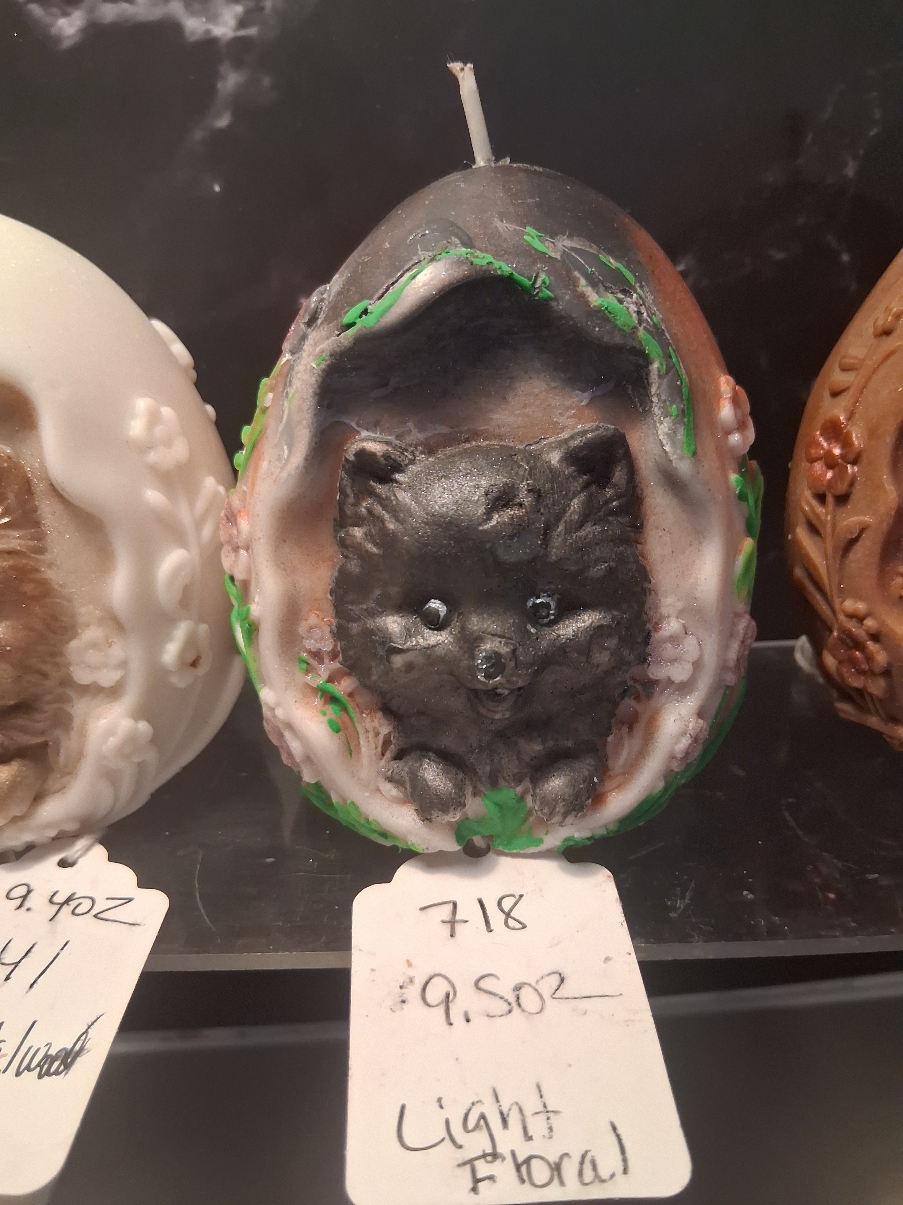 Pom Egg Hatchling