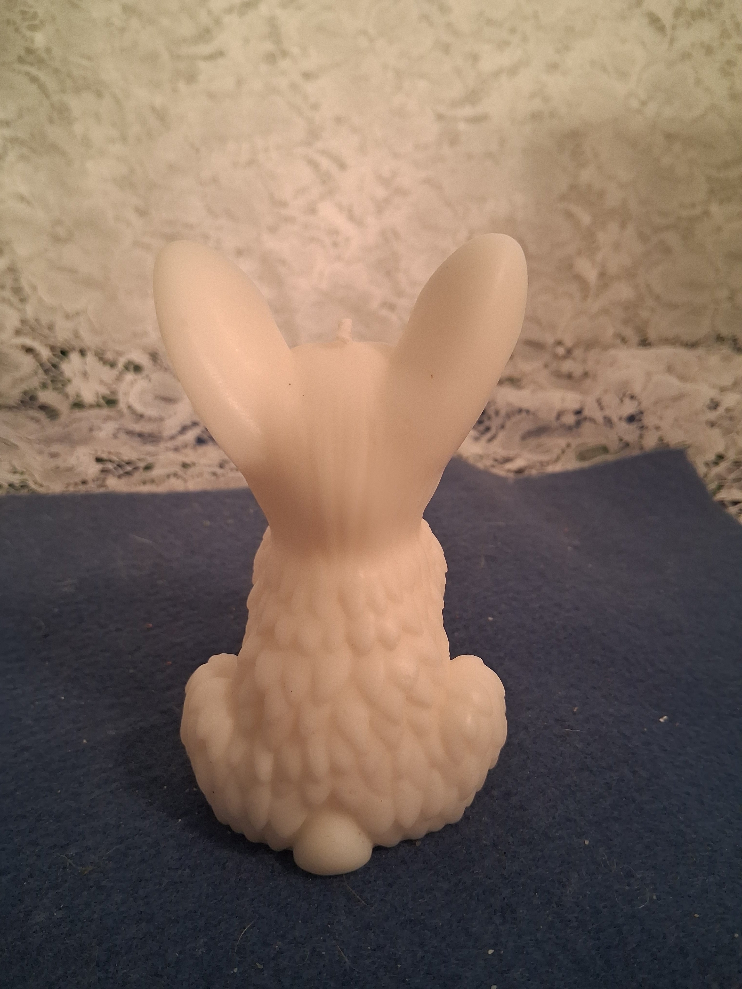 Firelight Frenchie 2