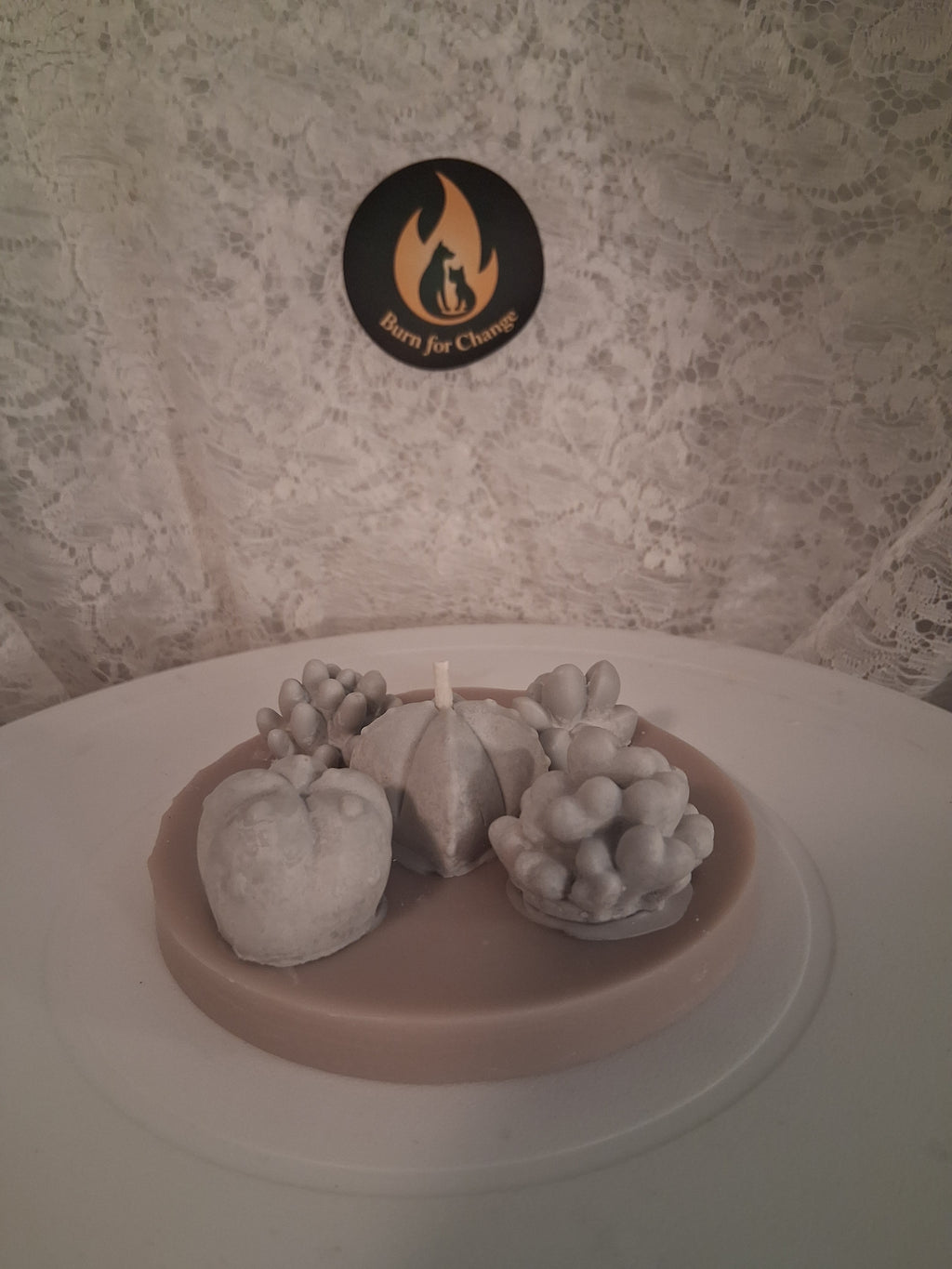 Oasis Succulent Cluster