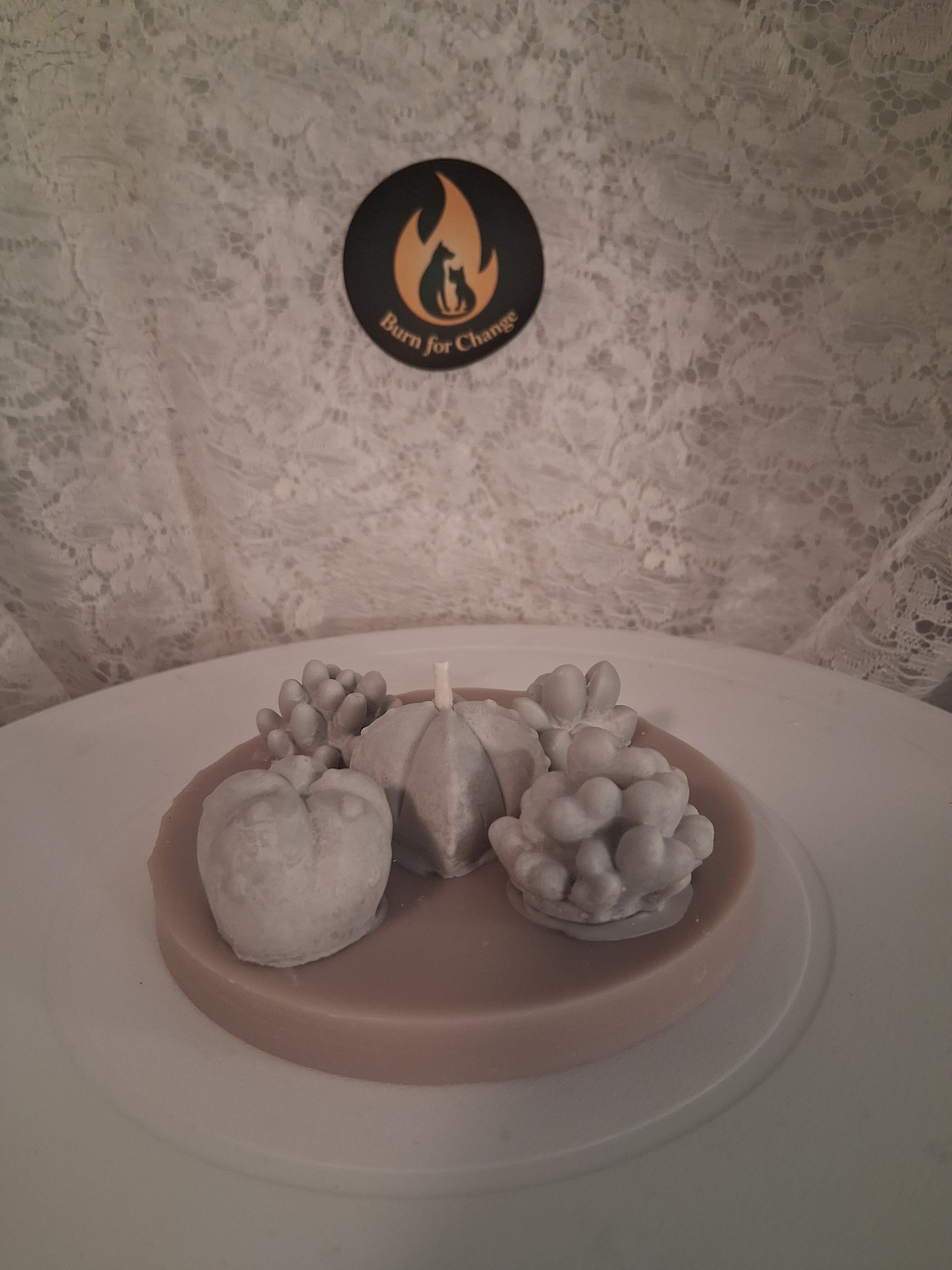 Oasis Succulent Cluster