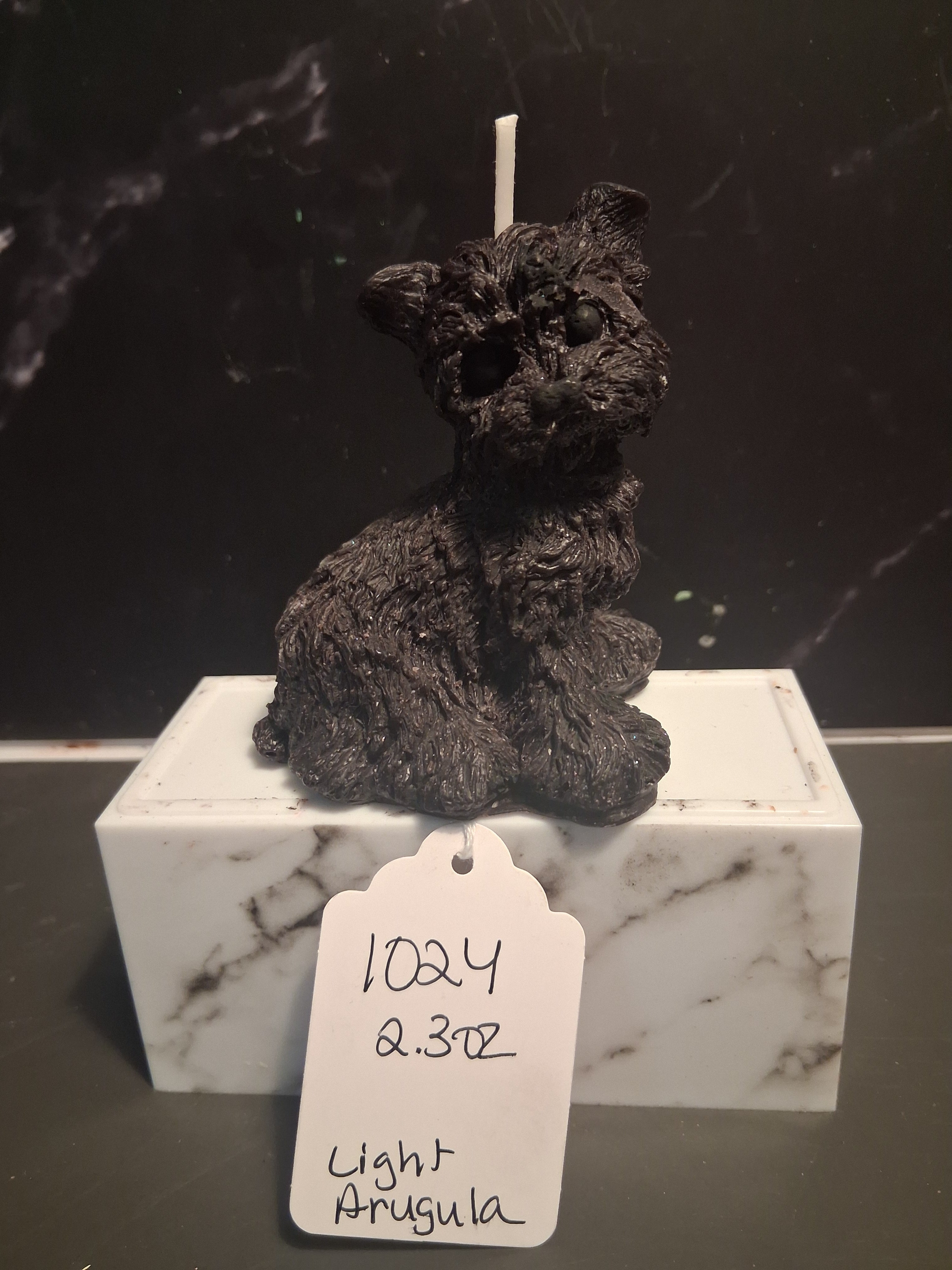 Scruffy Terrier