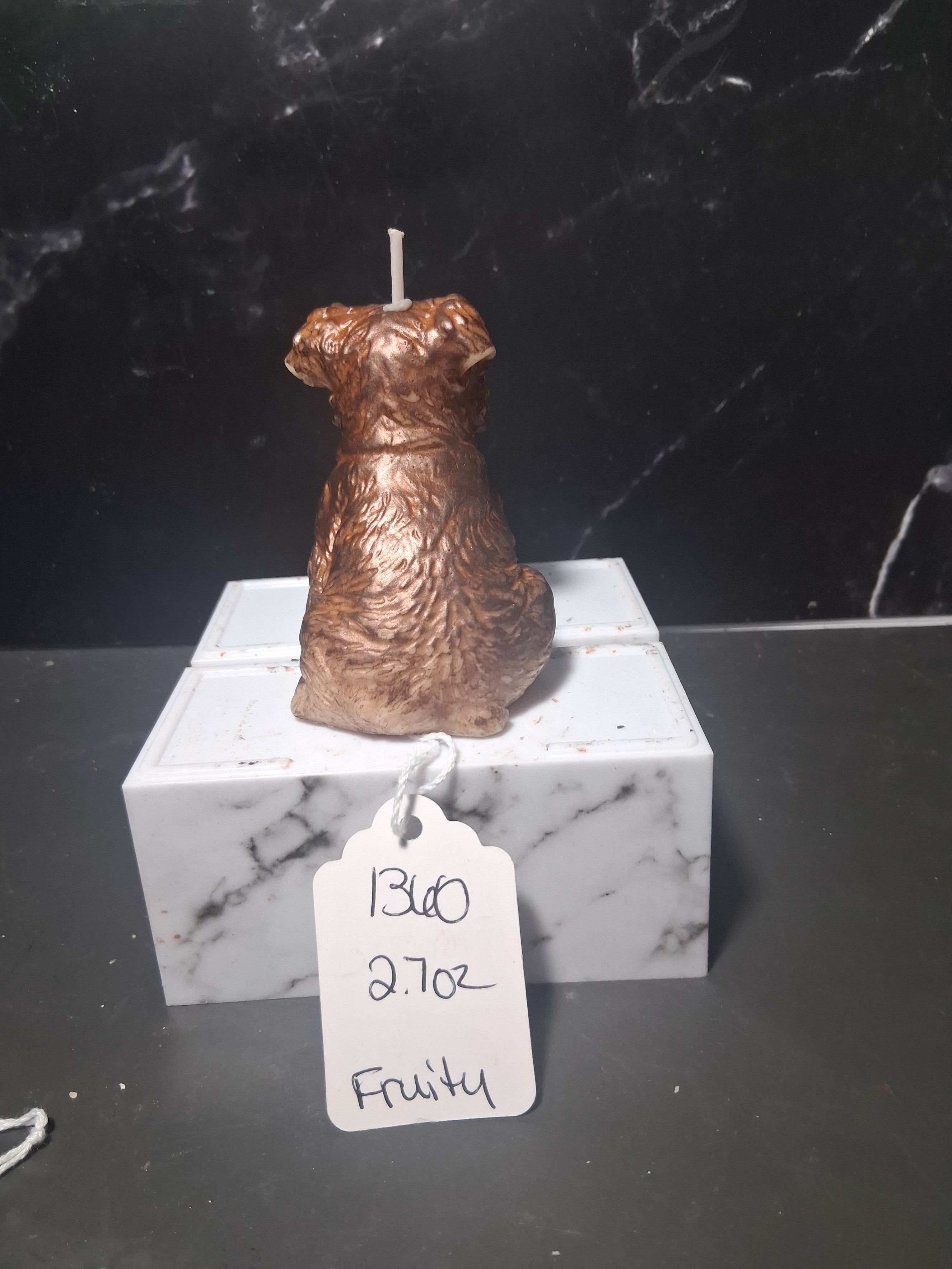 Terrier Treasure