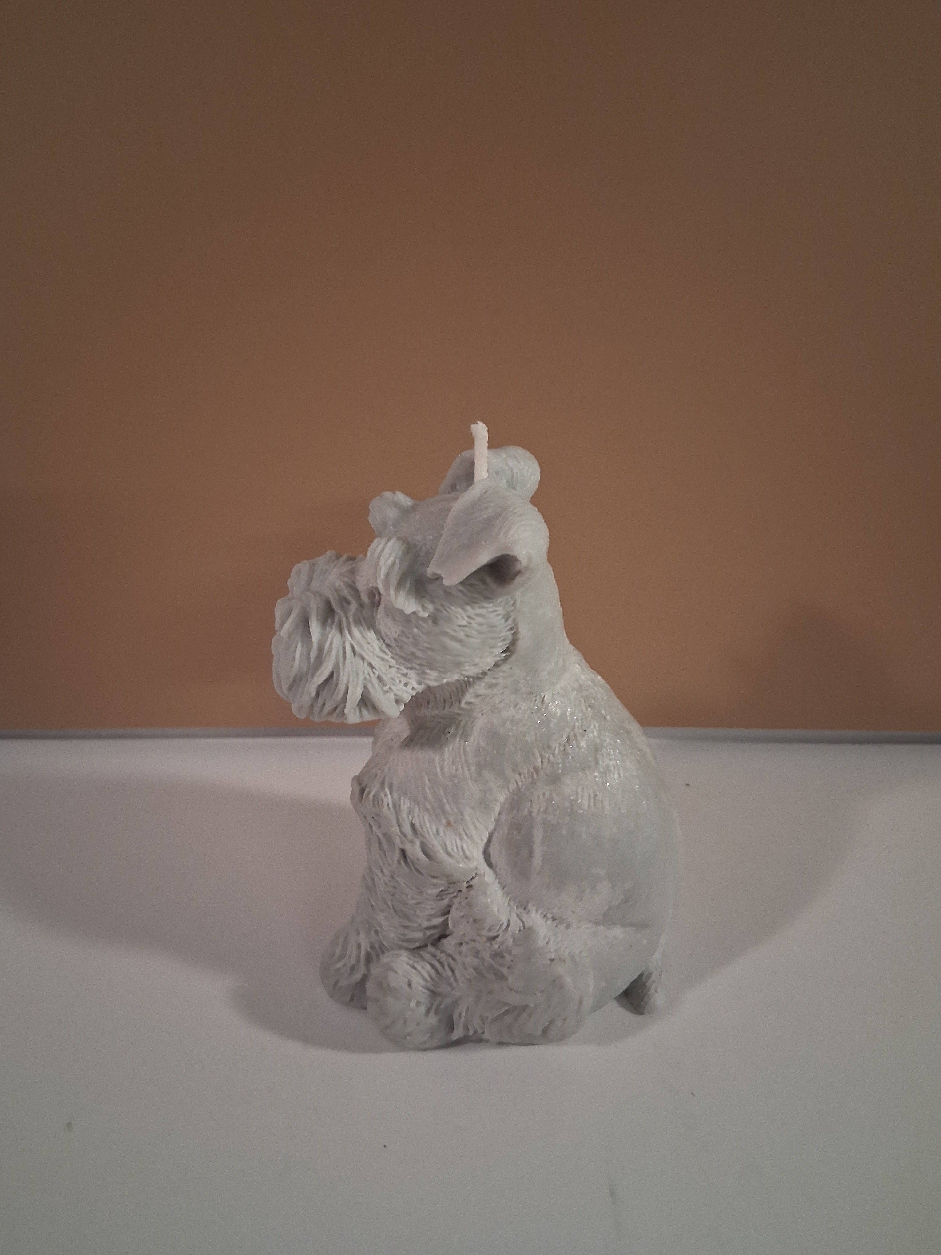 Schnauzer Spunkhouse