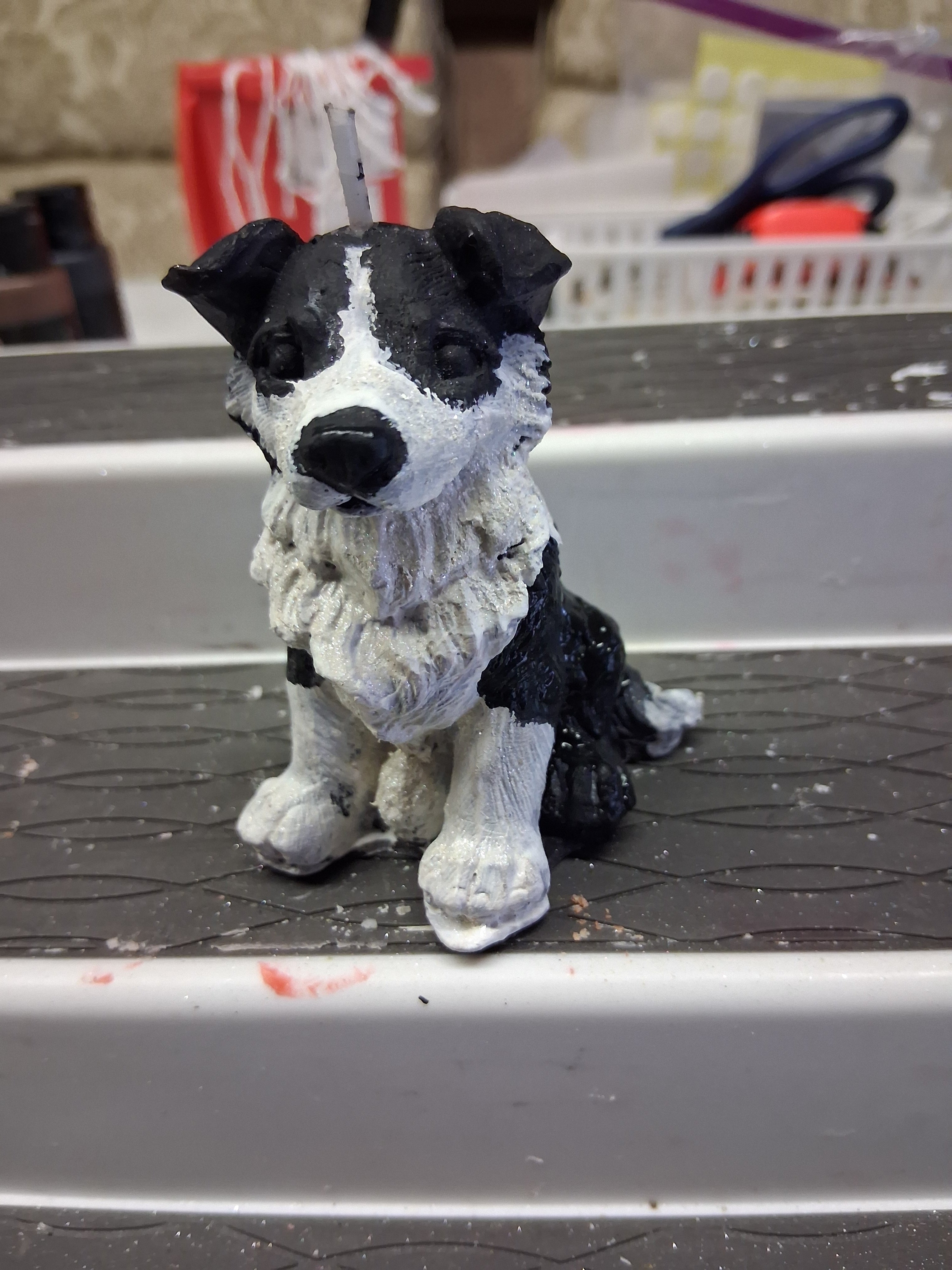 Brilliant Border Collie