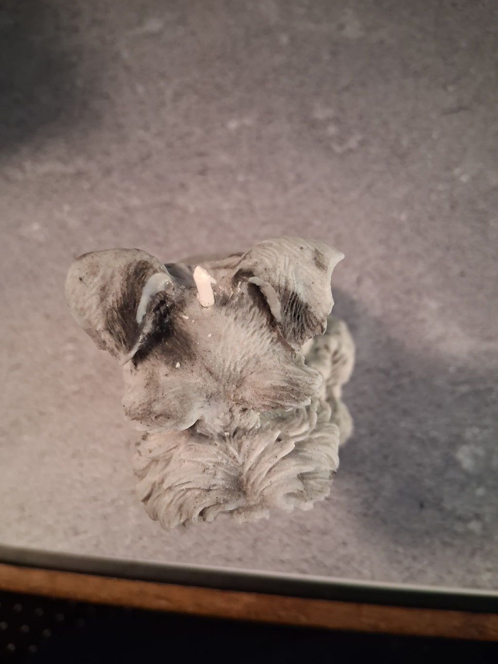 Schnauzer Spunkhouse