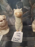Amiable Alpaca