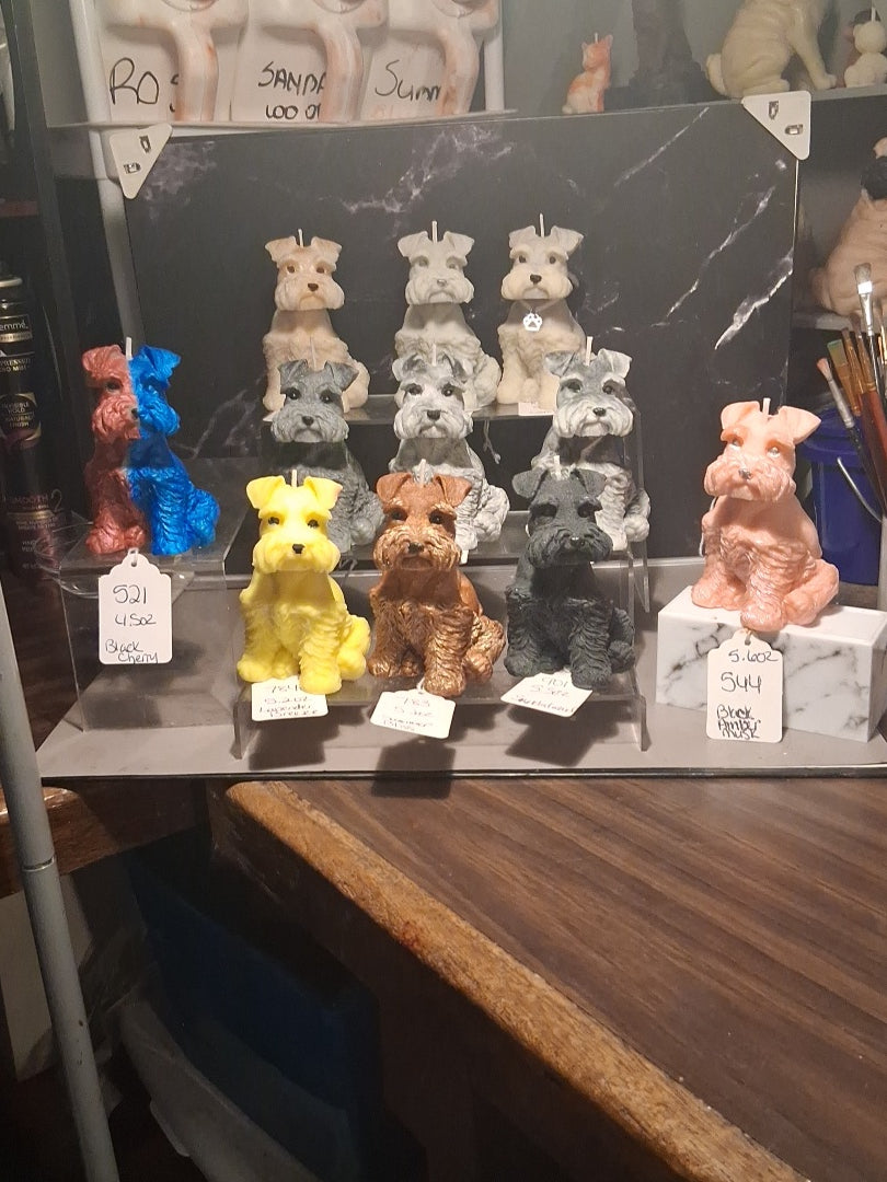 Schnauzer Spunkhouse