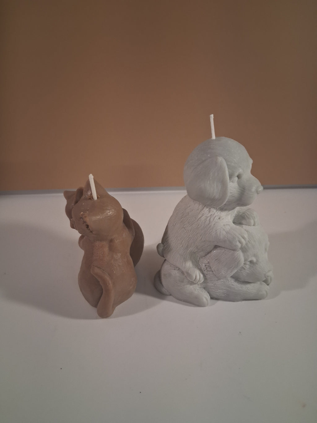 Paw-fect Together (Set of 2)