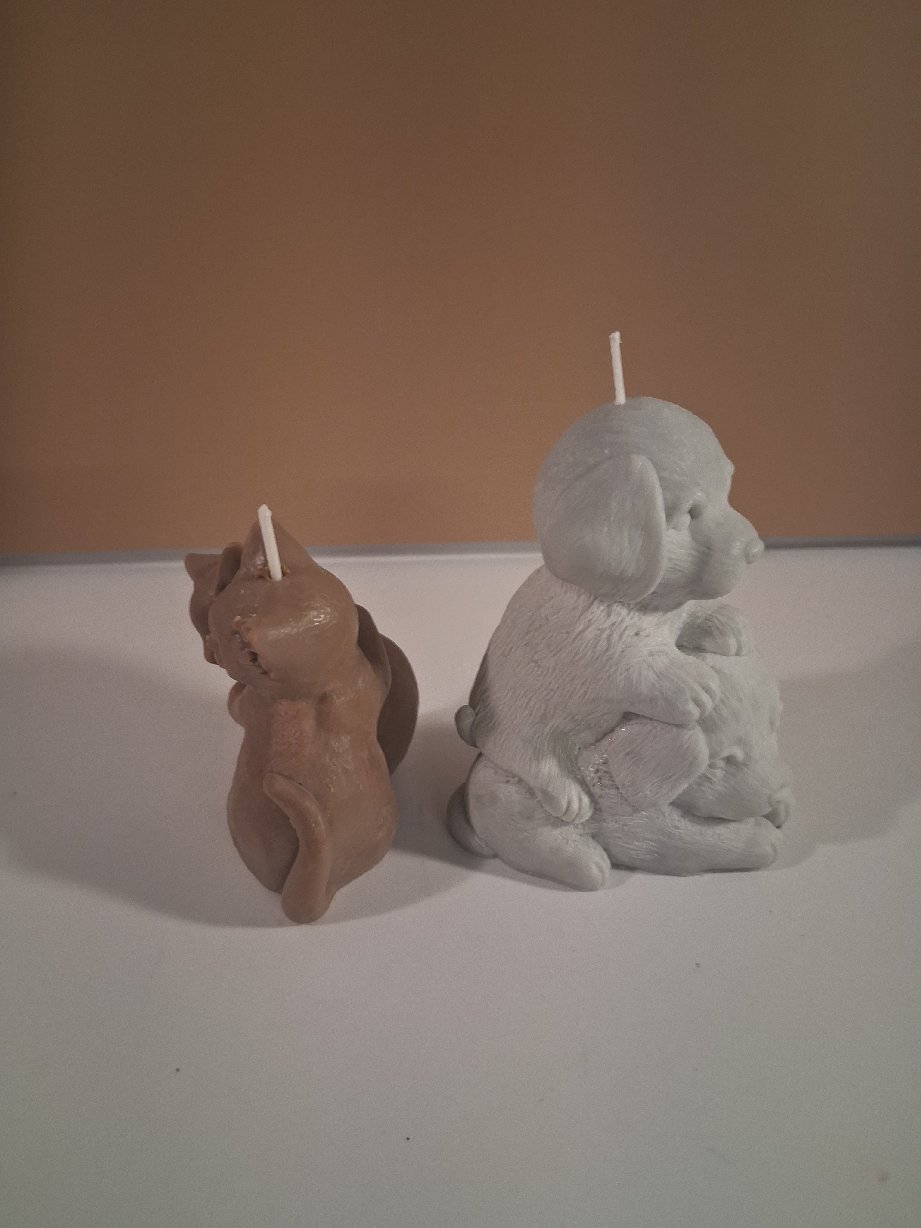 Paw-fect Together (Set of 2)