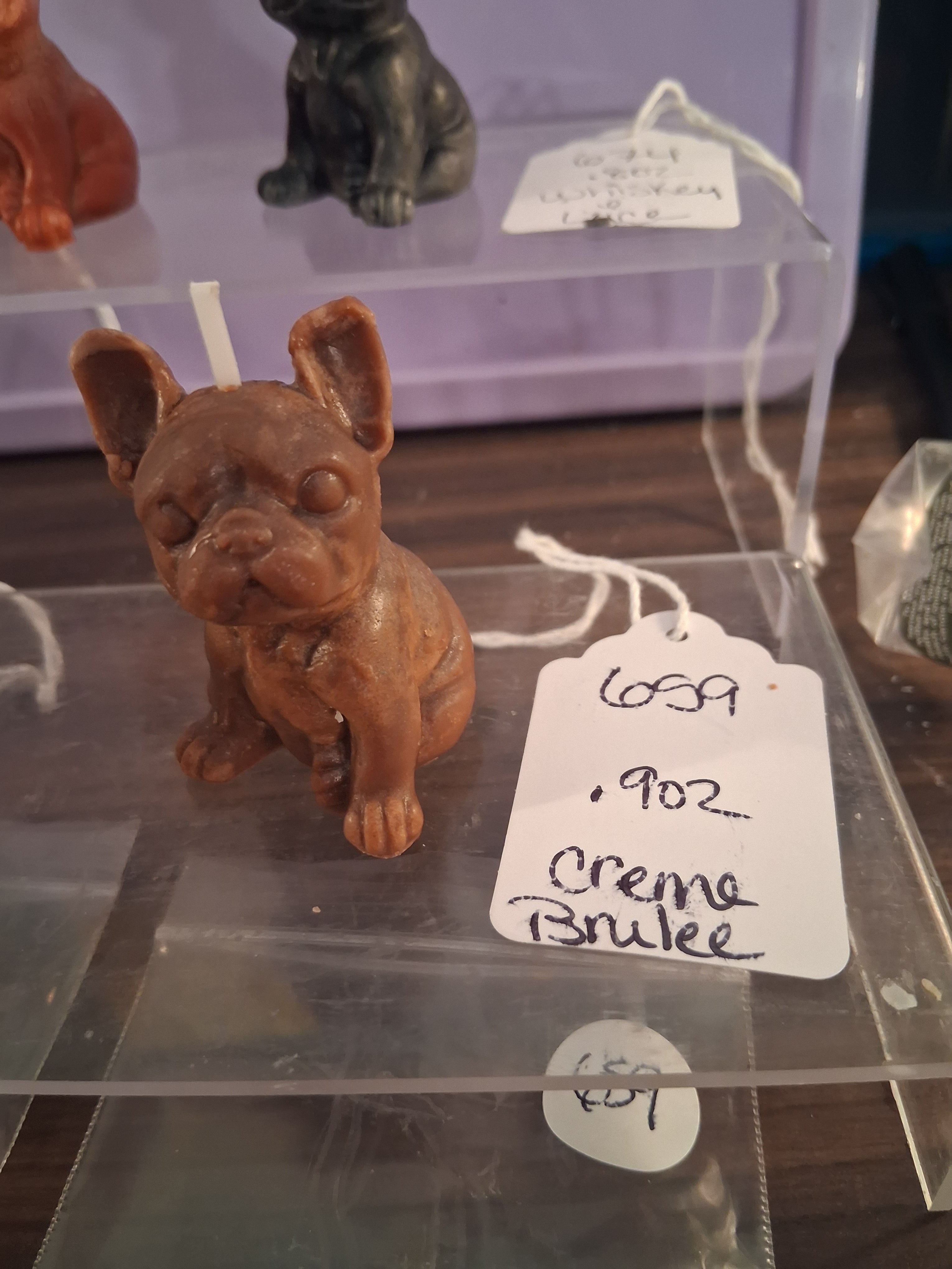 Frenchie Pup Flicker
