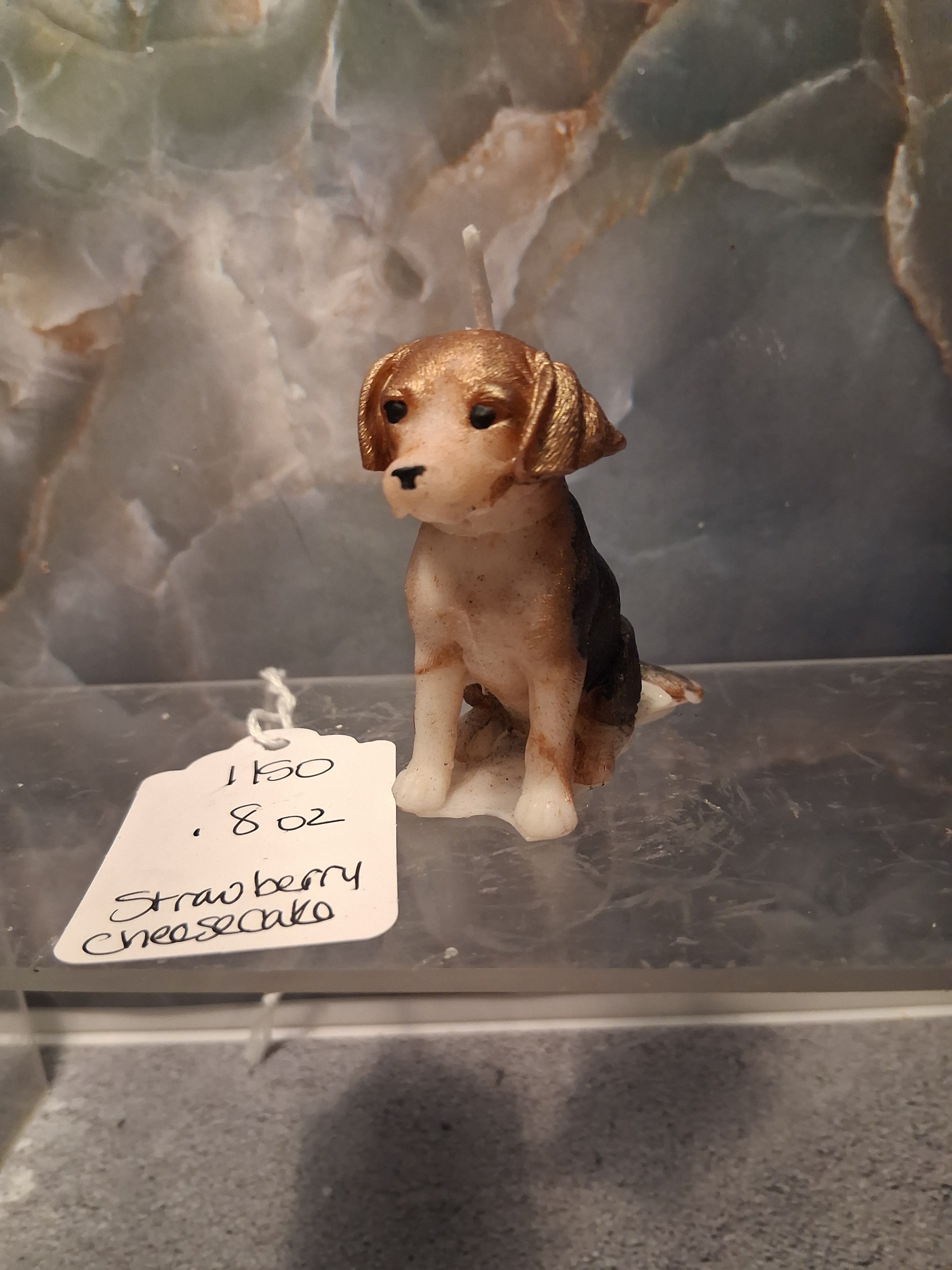 Pocket Beagle Pal