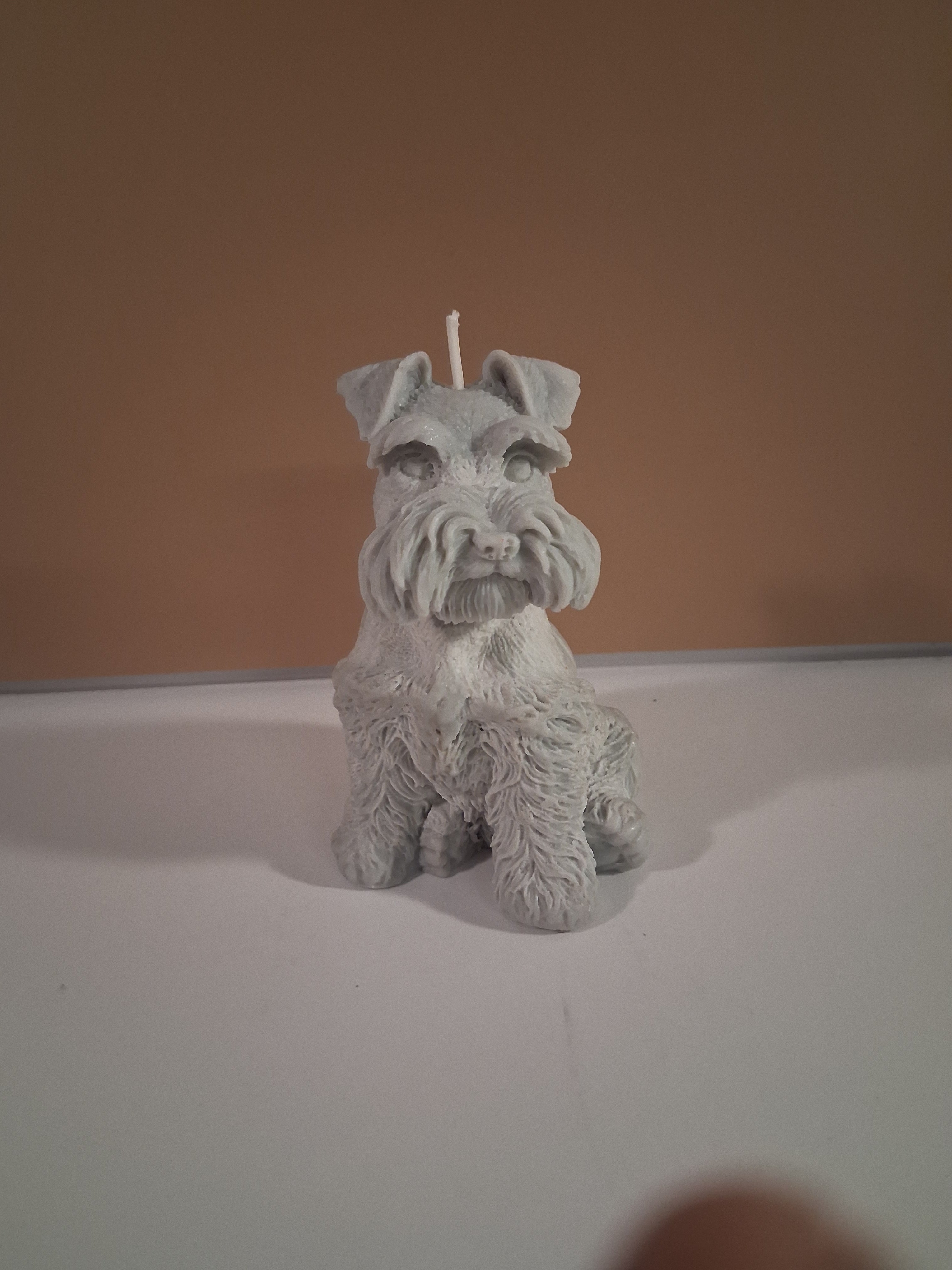 Schnauzer Spunkhouse