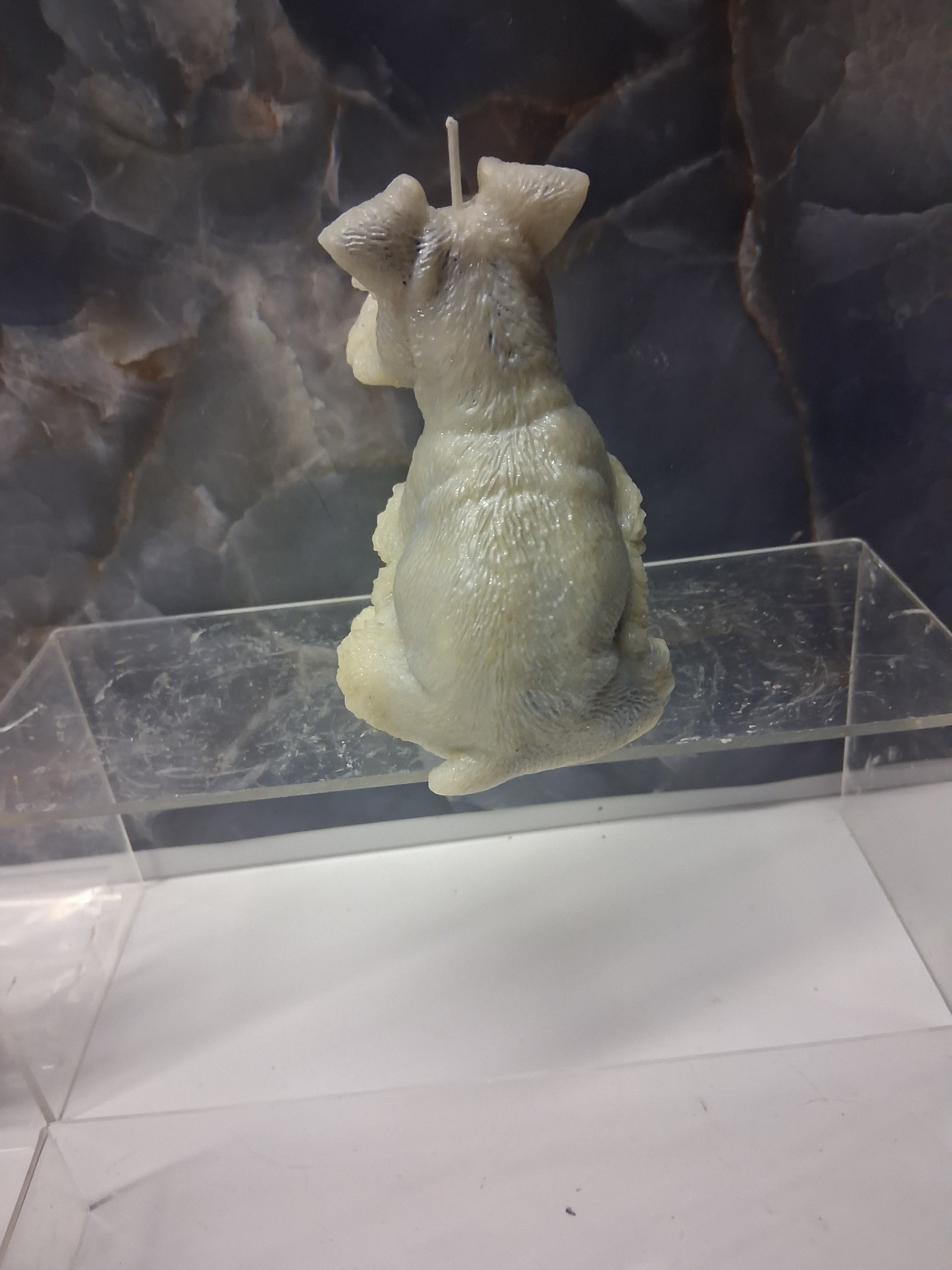 Schnauzer Spunkhouse