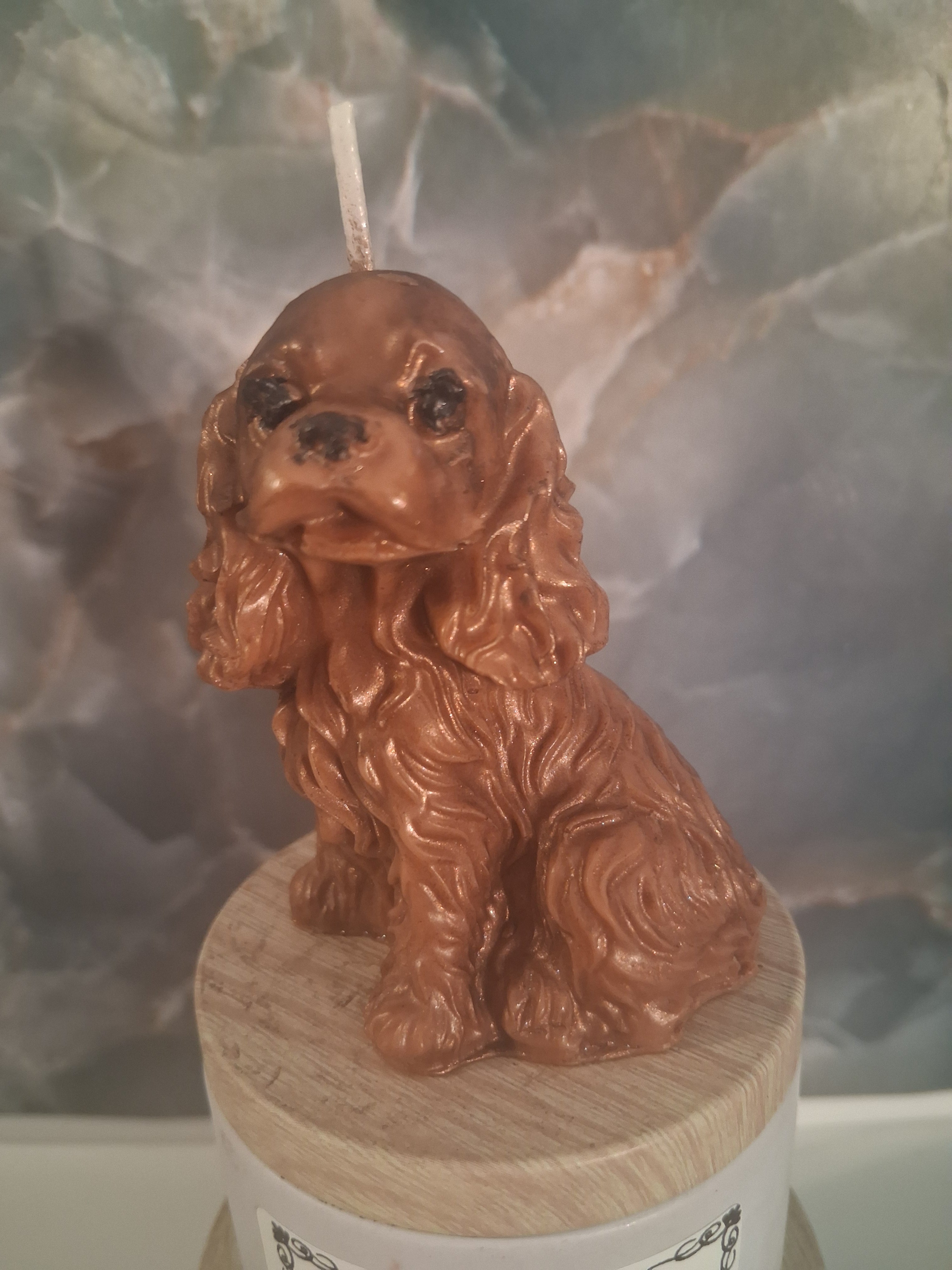 Spunky Spaniel