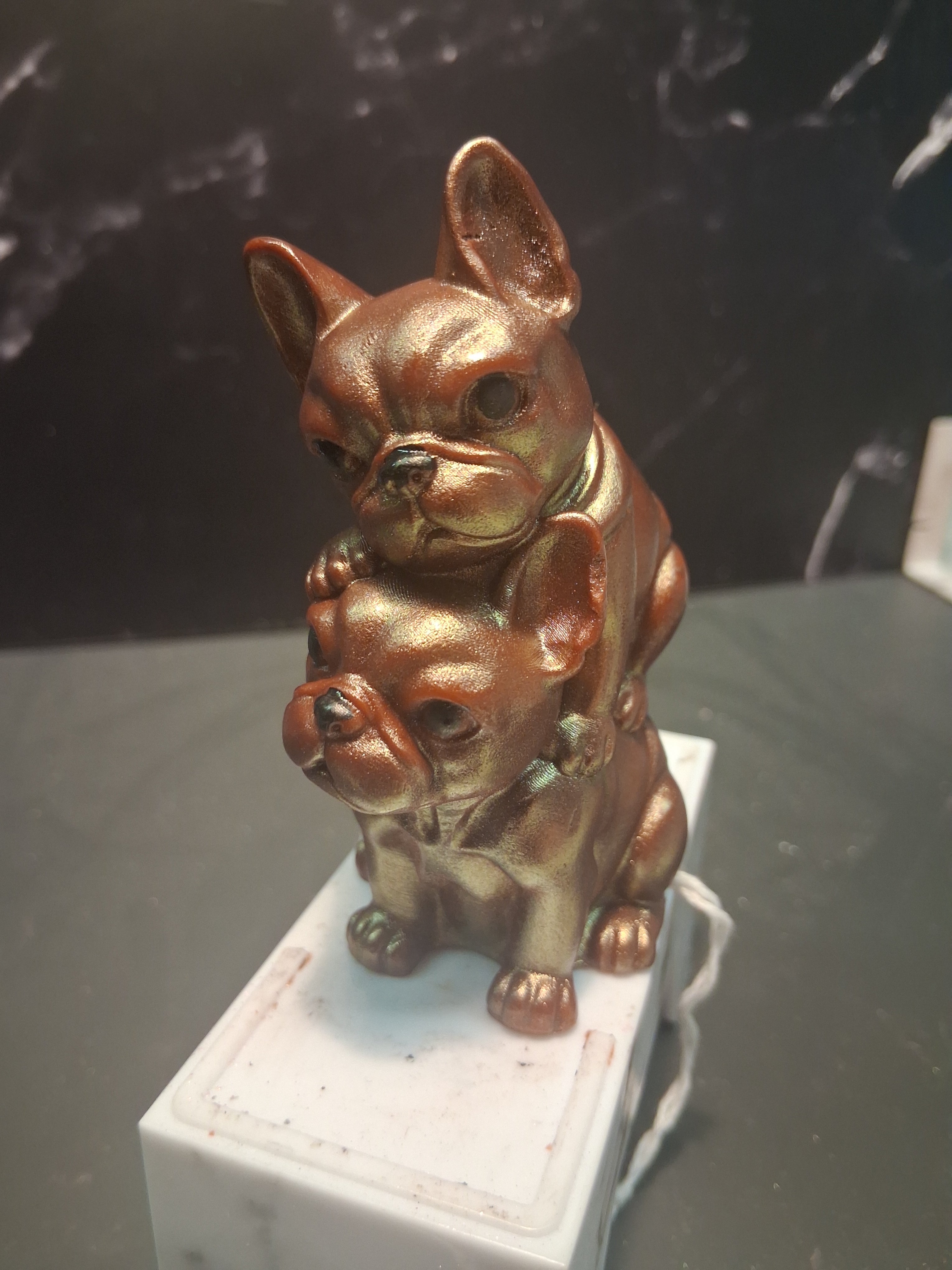 Playful Frenchie Pair