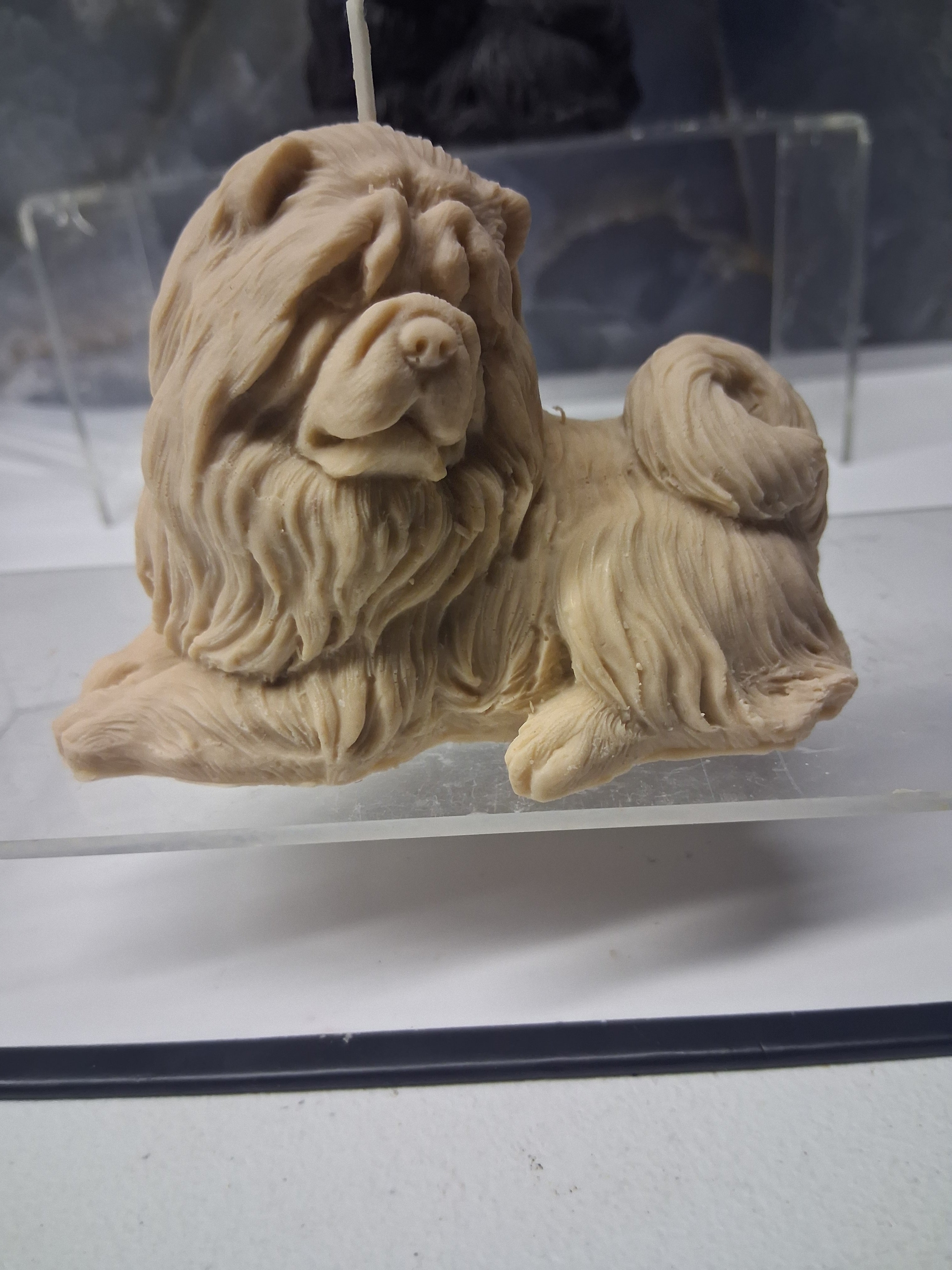 Tibetan Mastiff