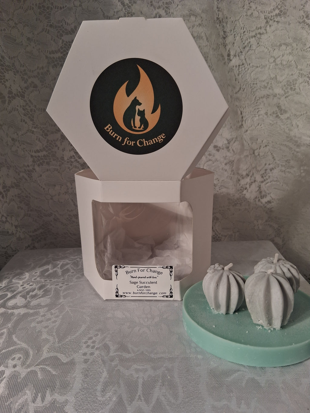 Sage Succulent Garden