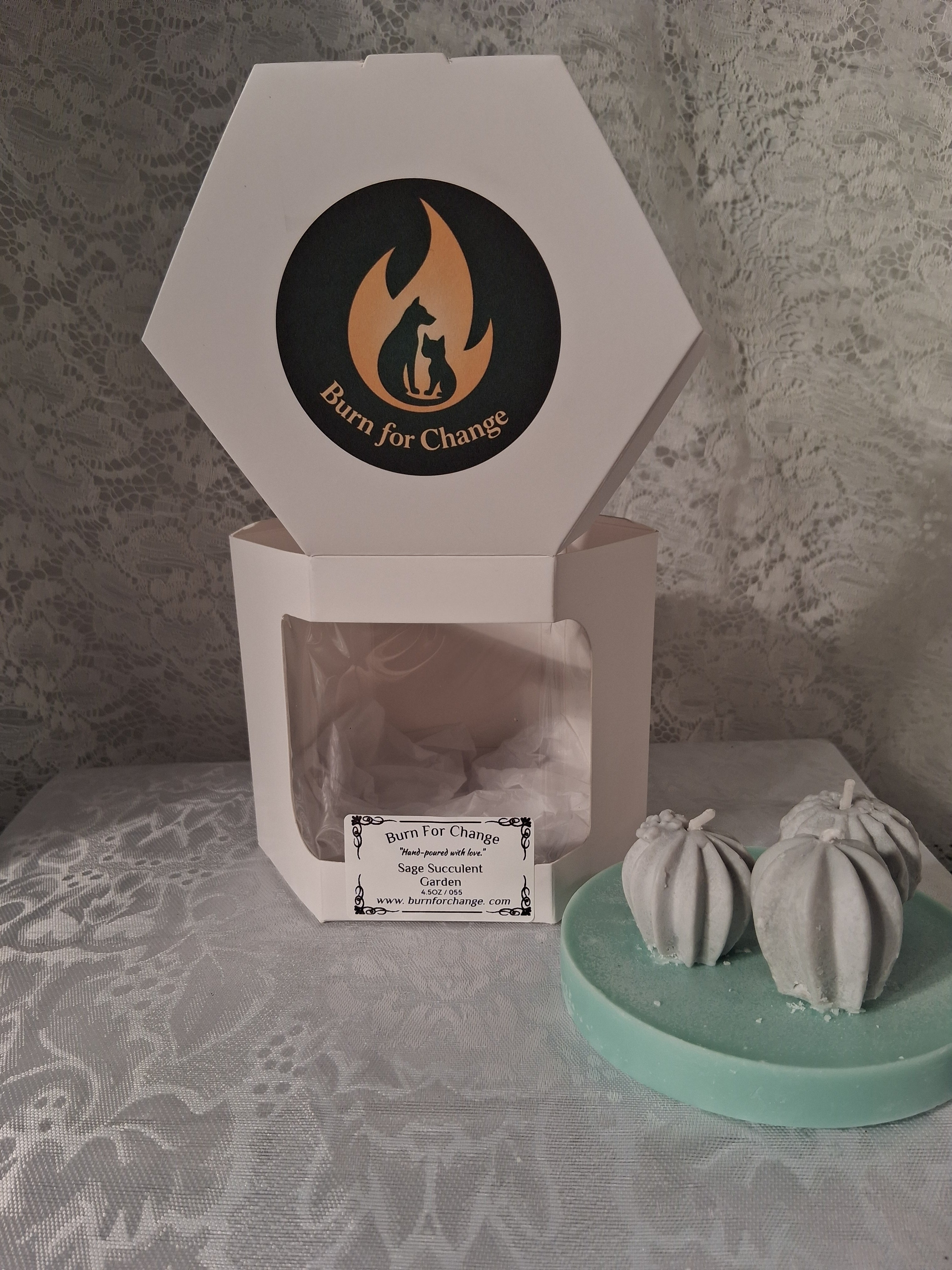 Sage Succulent Garden