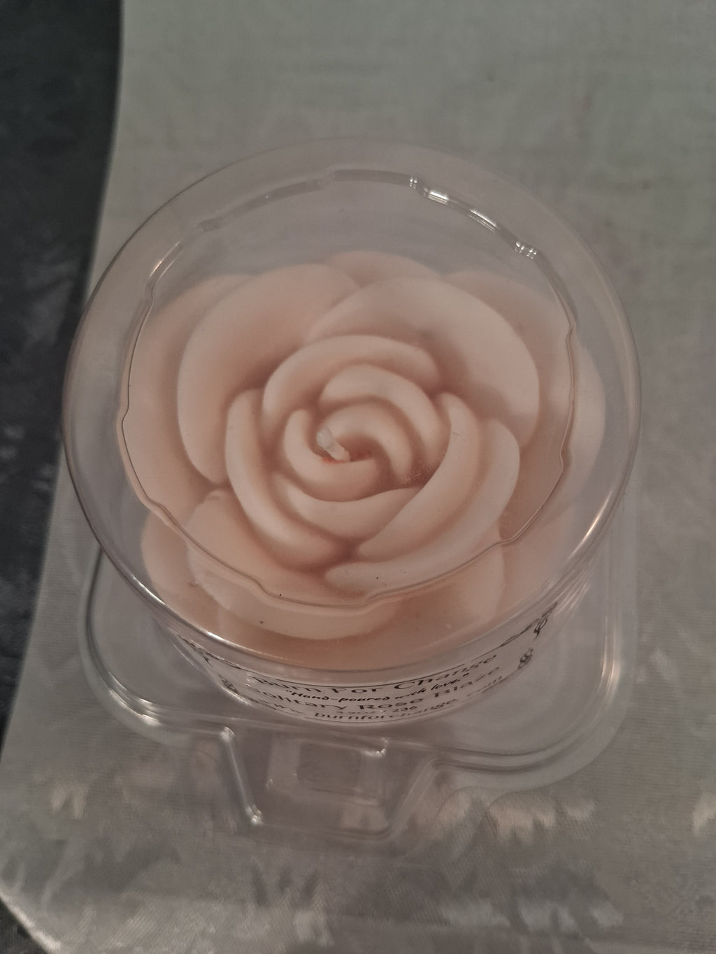 Solitary Rose Blaze 3