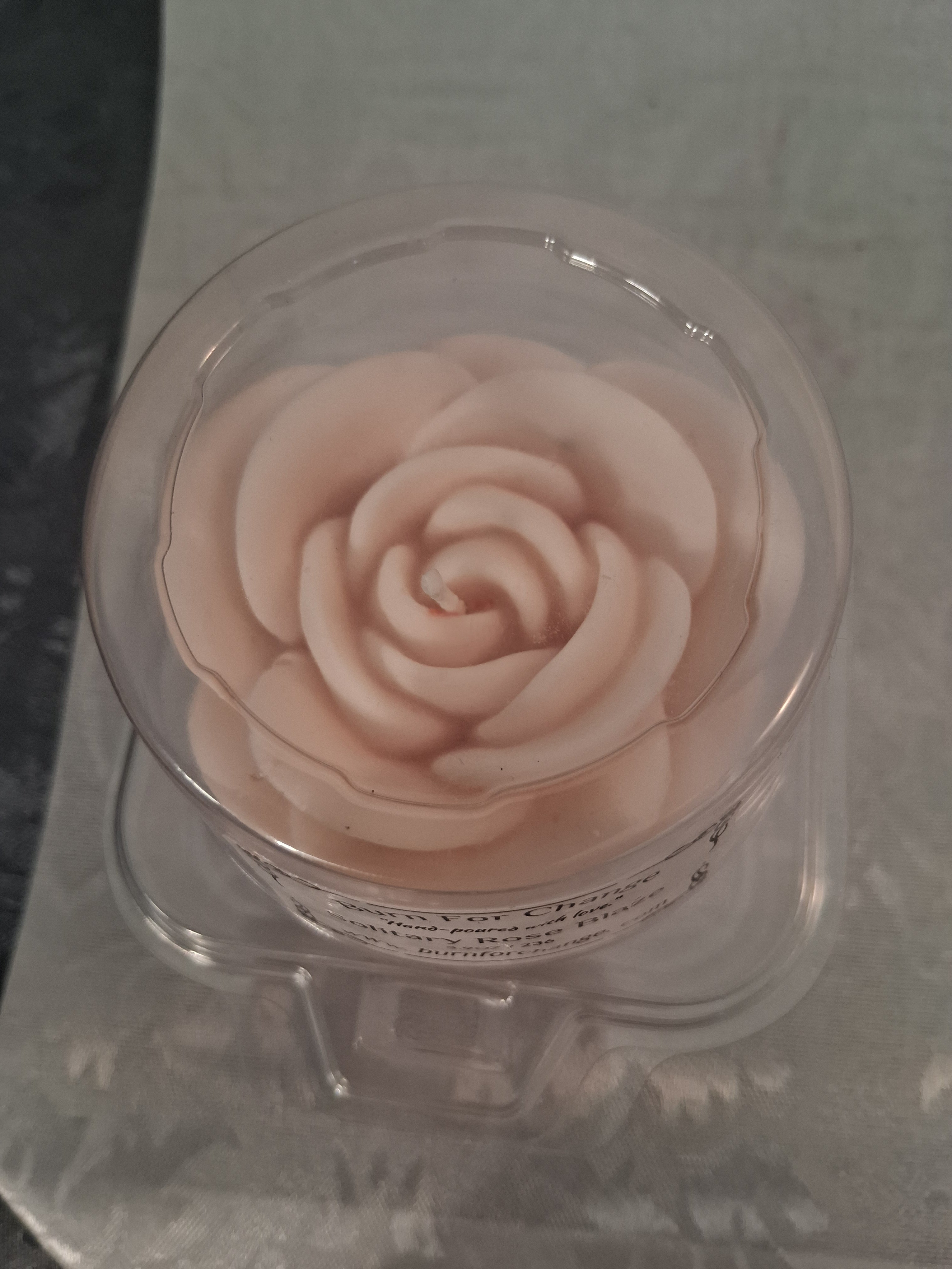 Solitary Rose Blaze 3