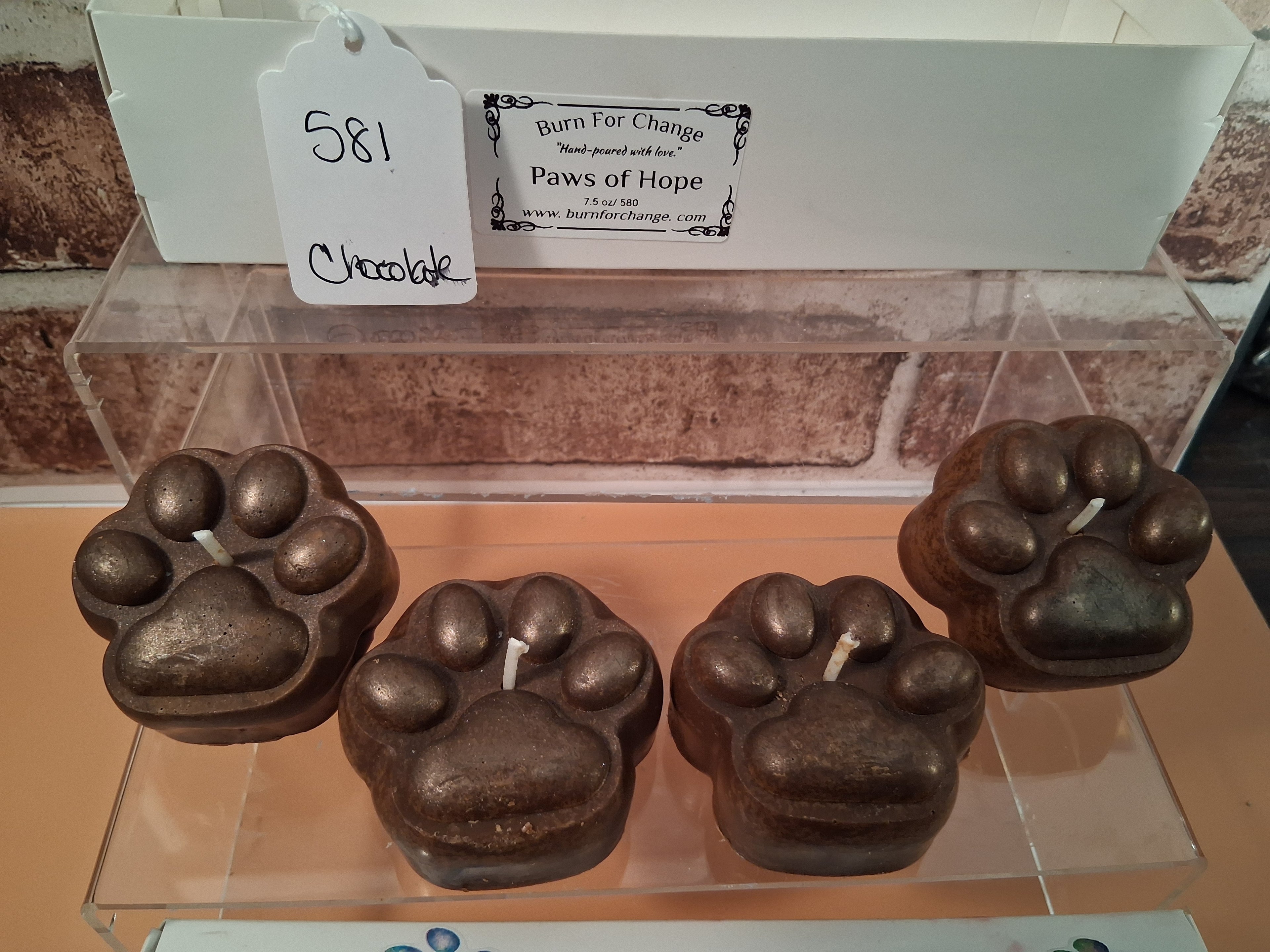 Paws of Hope