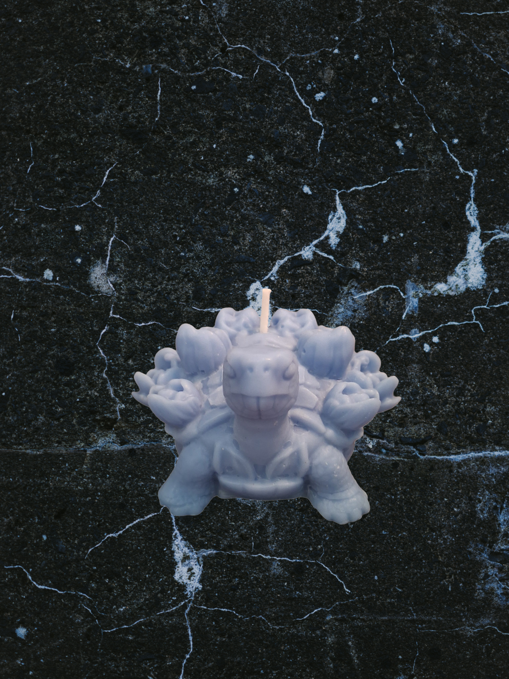 Turtle Blossom Guardian