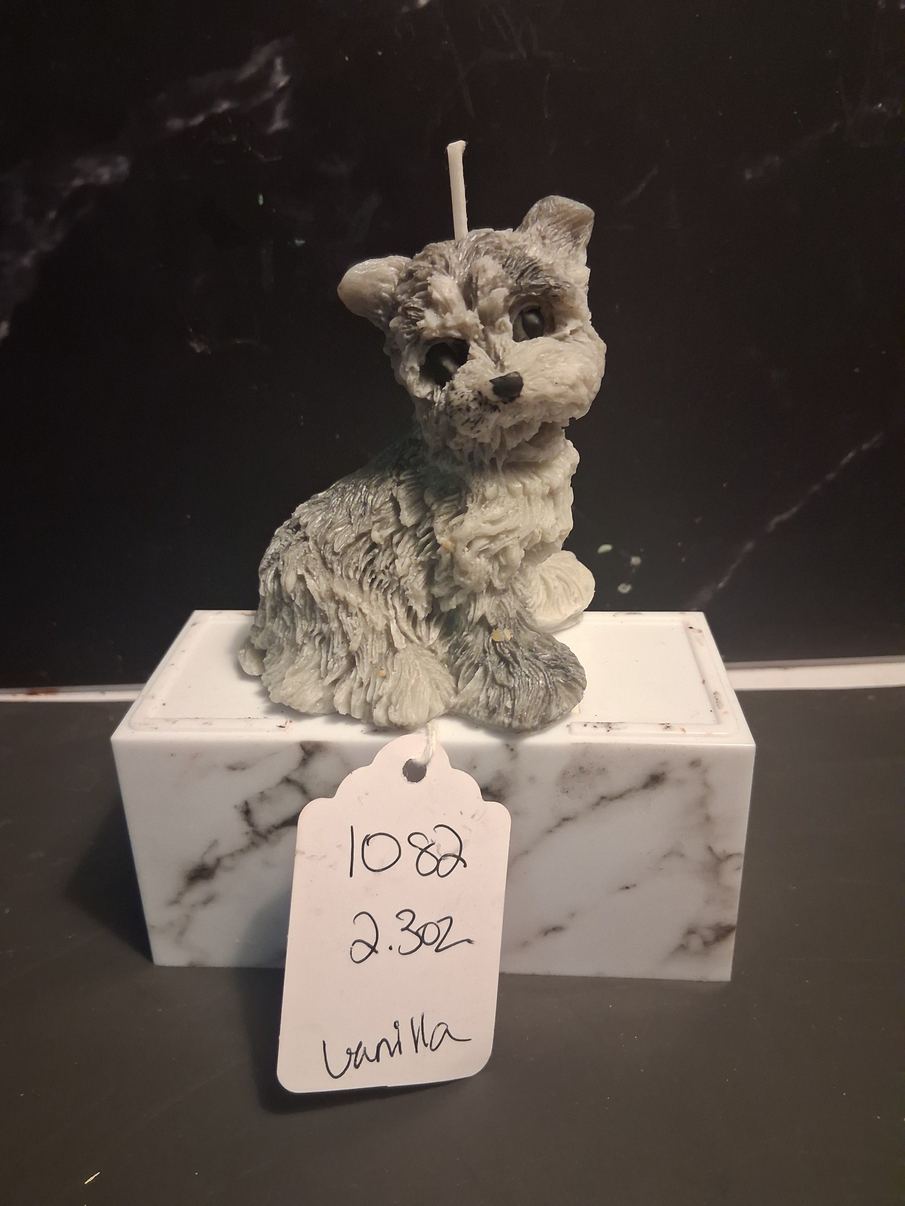 Scruffy Terrier