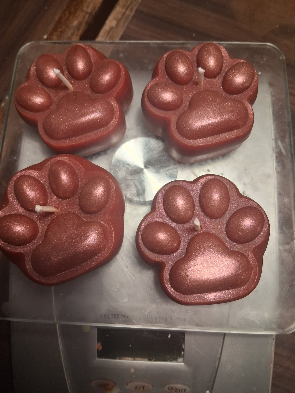 Paws of Hope