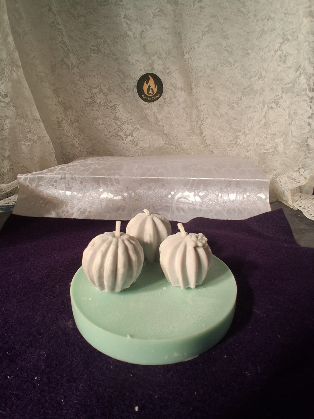 Sage Succulent Garden