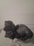 Celestial Canine