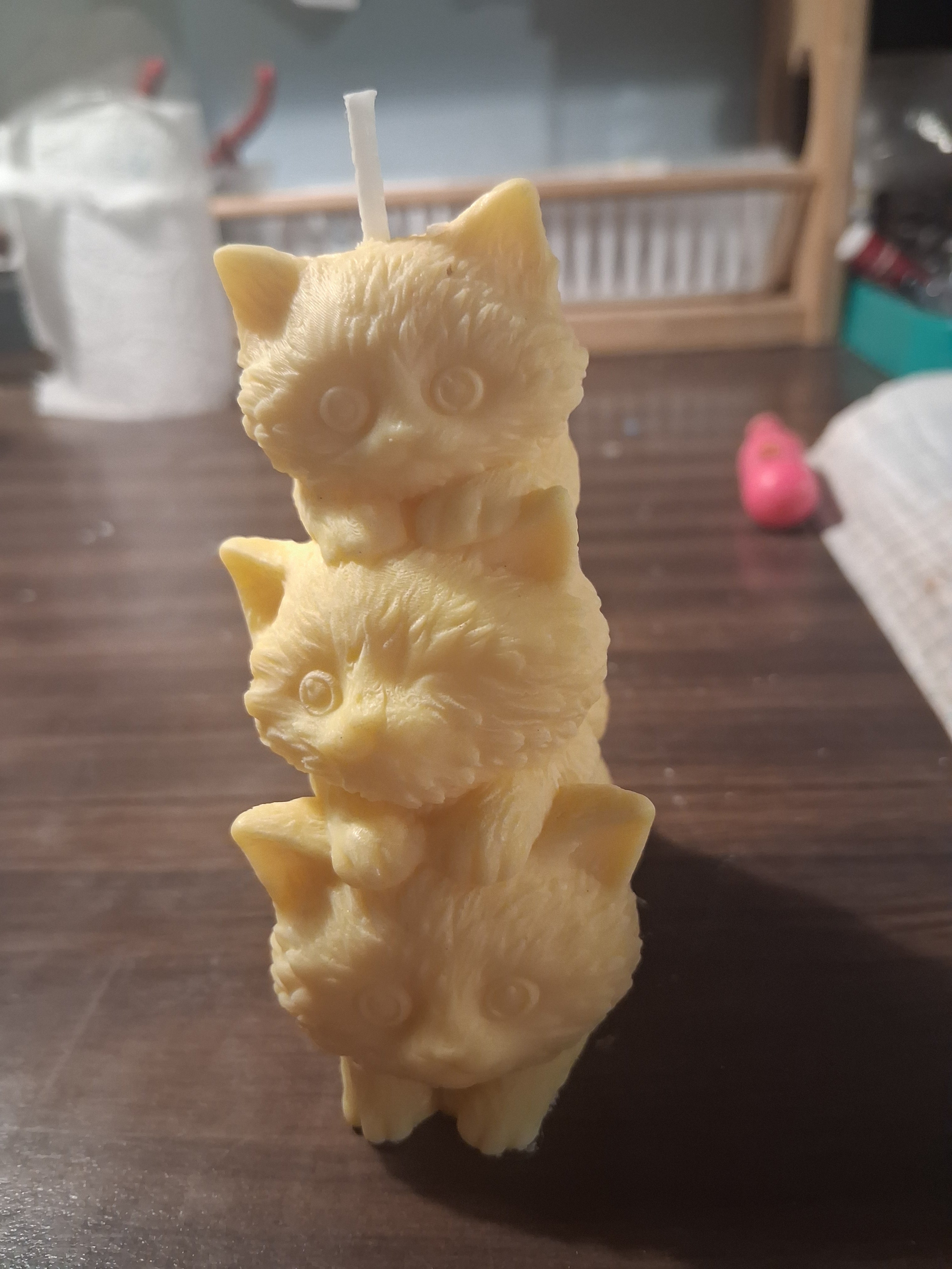 Feline Flicker