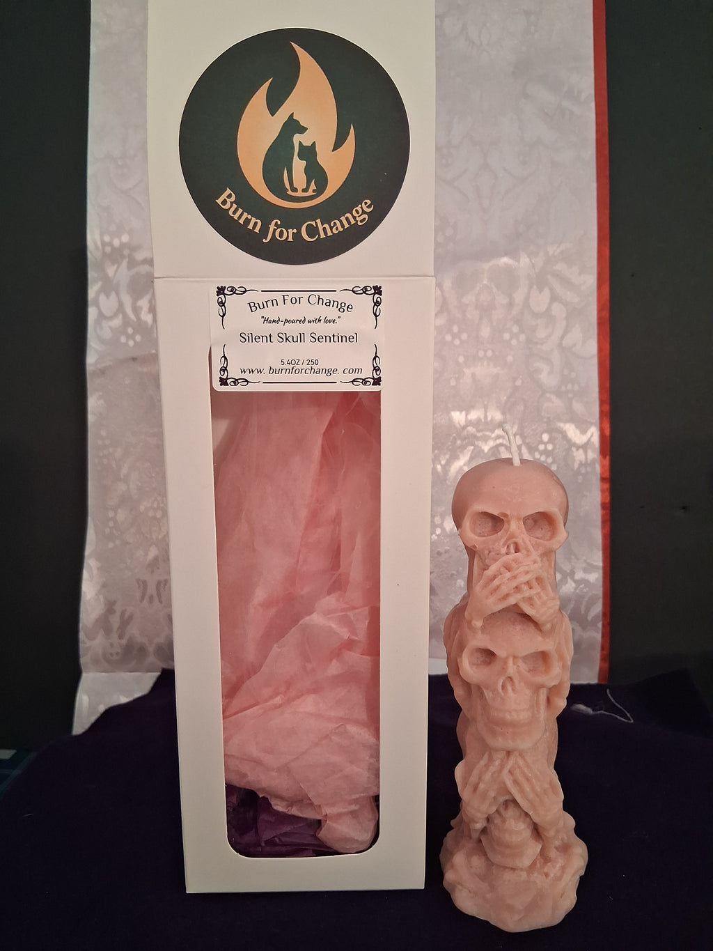 Silent Skull Sentinel ☠️