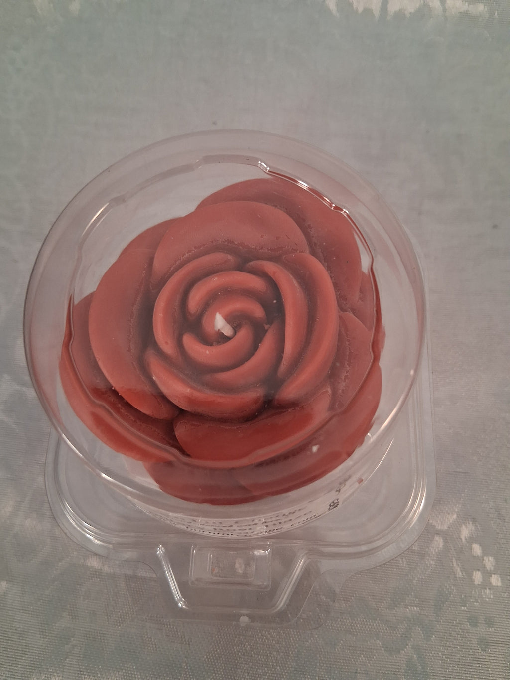 Solitary Rose Blaze 2