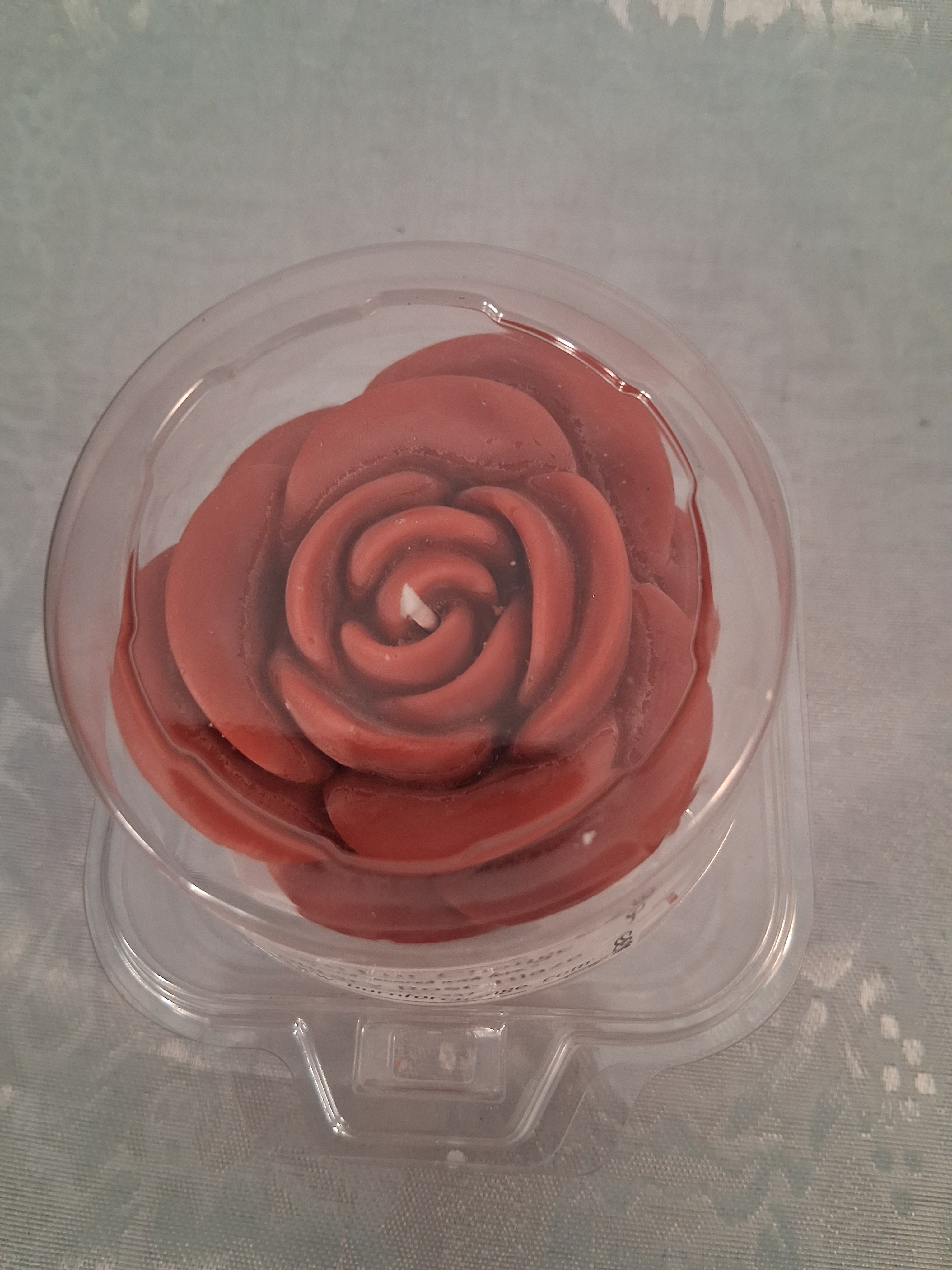 Solitary Rose Blaze 2