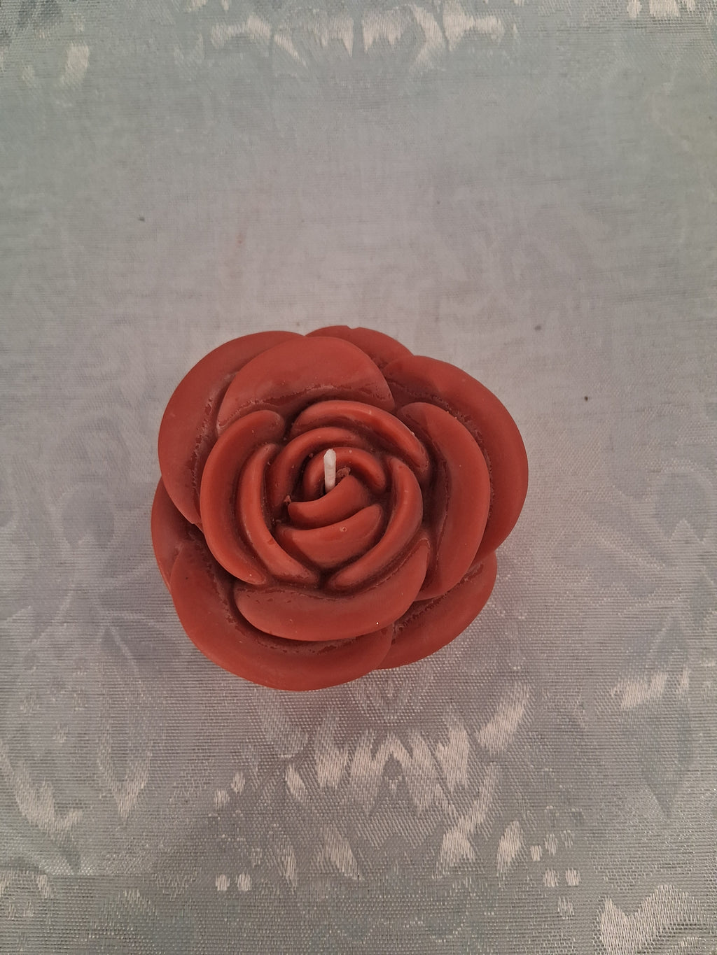 Solitary Rose Blaze 2