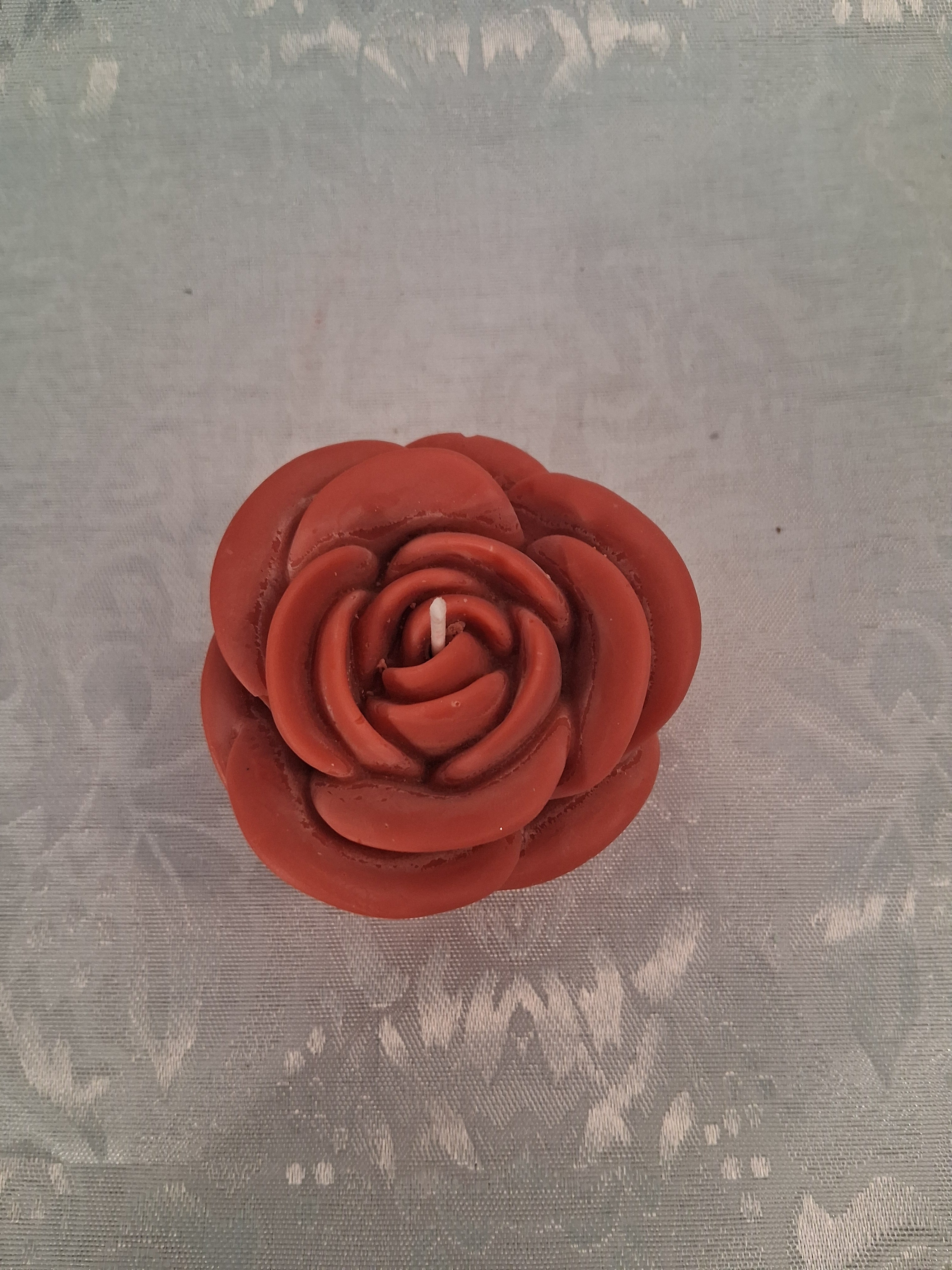 Solitary Rose Blaze 2