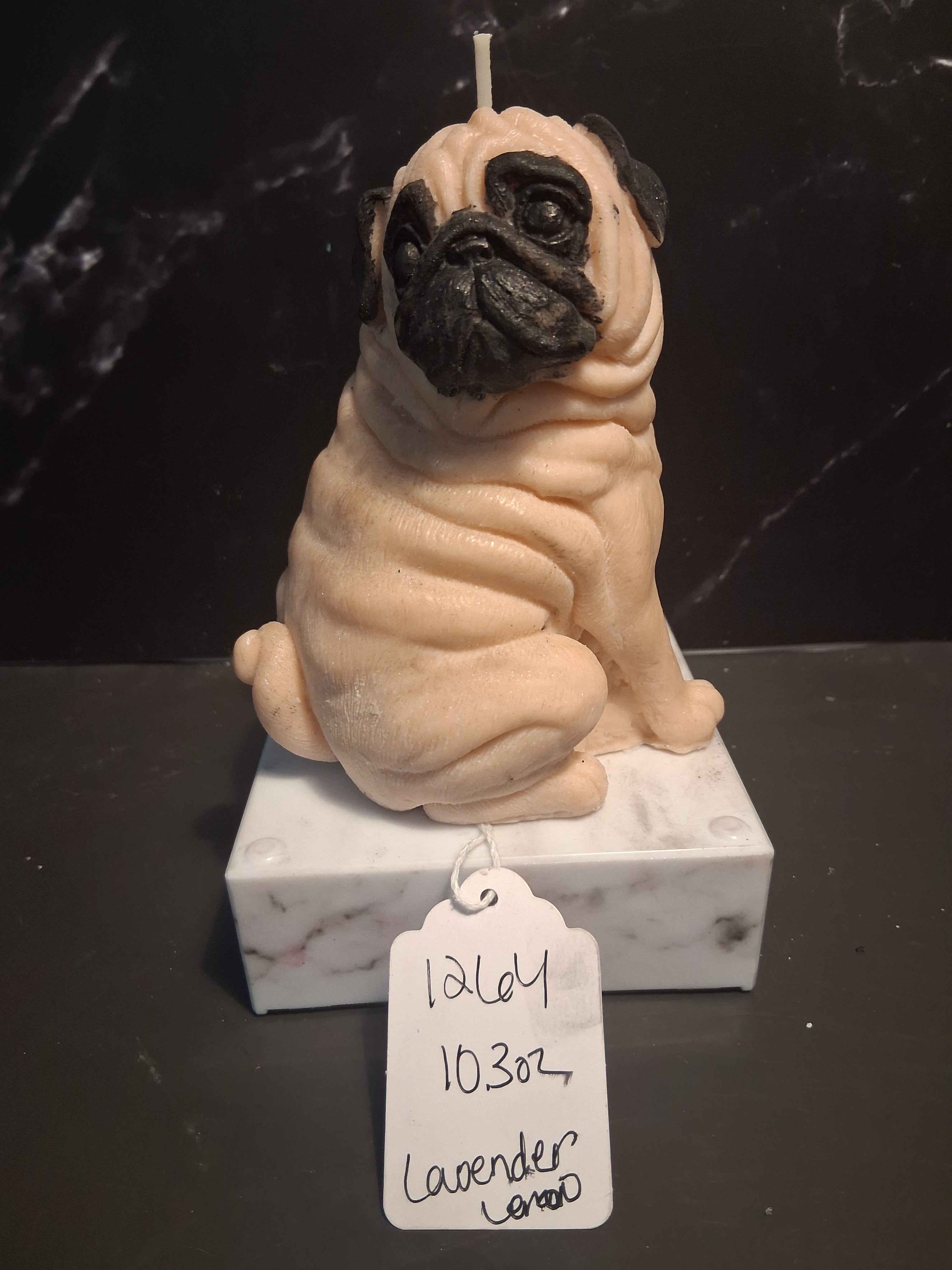 Pug Perfection