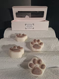 Paws of Hope