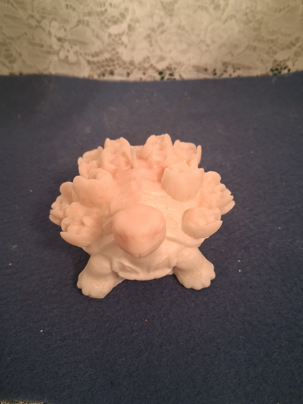 Turtle Blossom Guardian 2