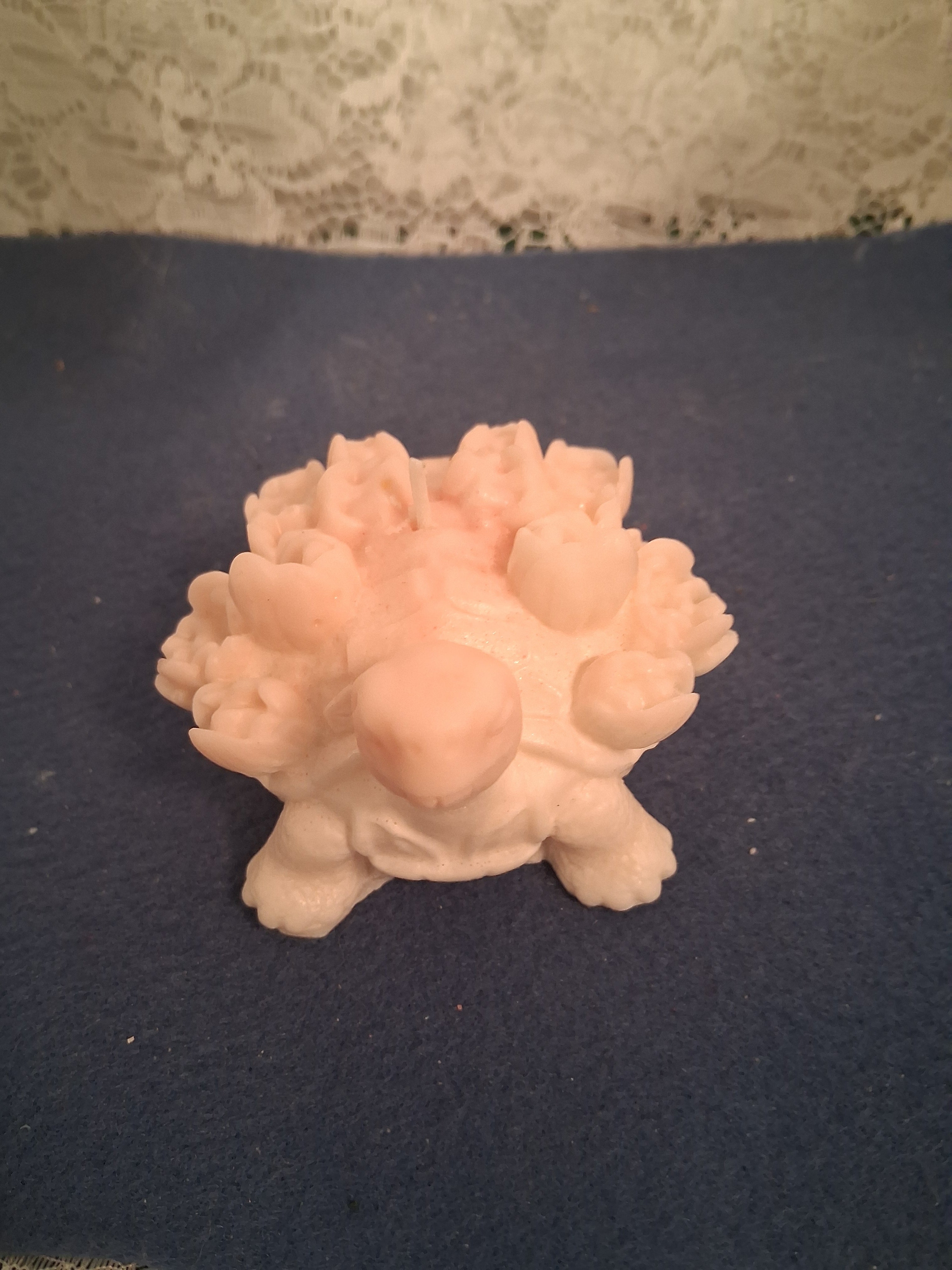 Turtle Blossom Guardian 2