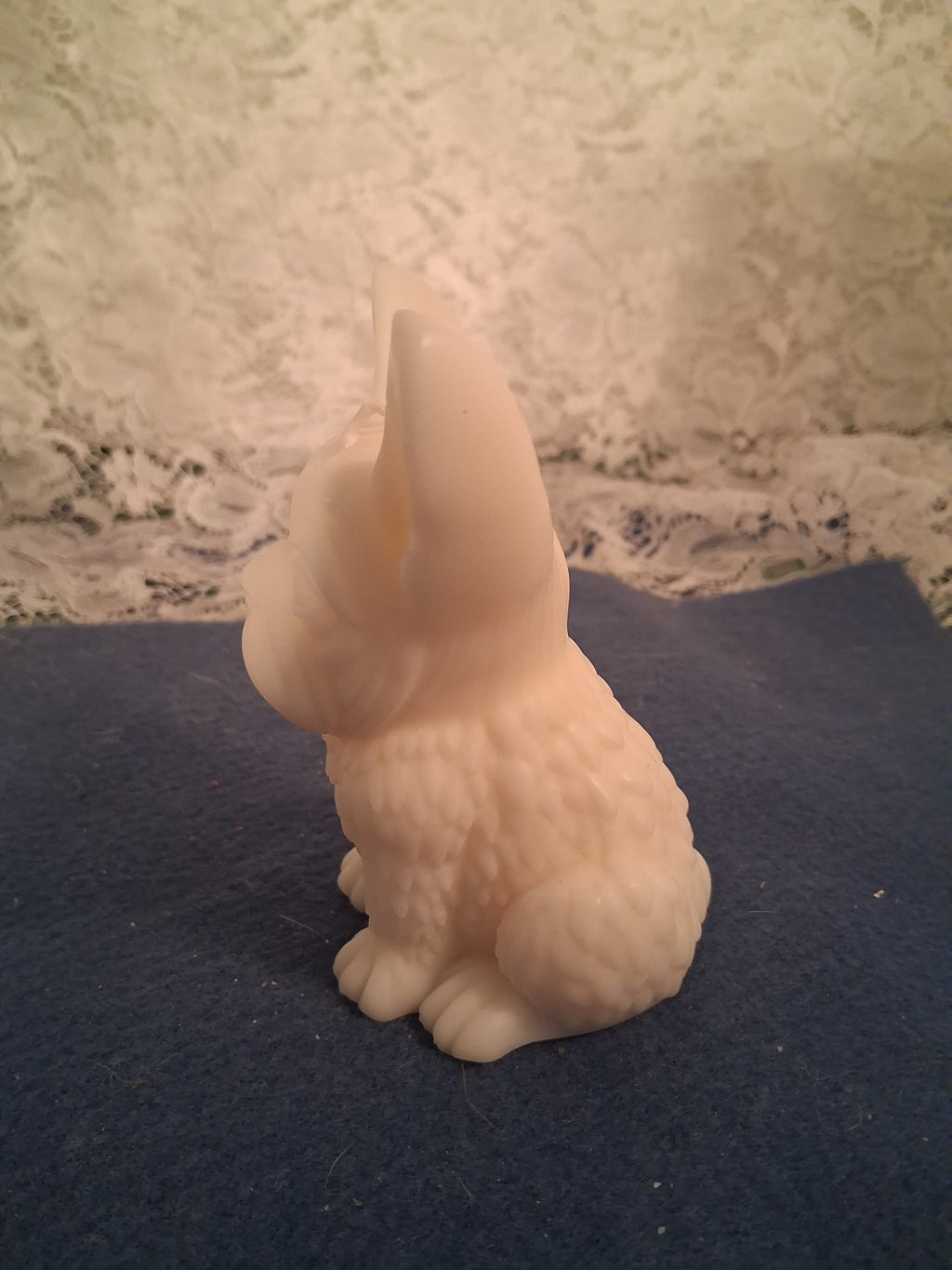 Firelight Frenchie 2