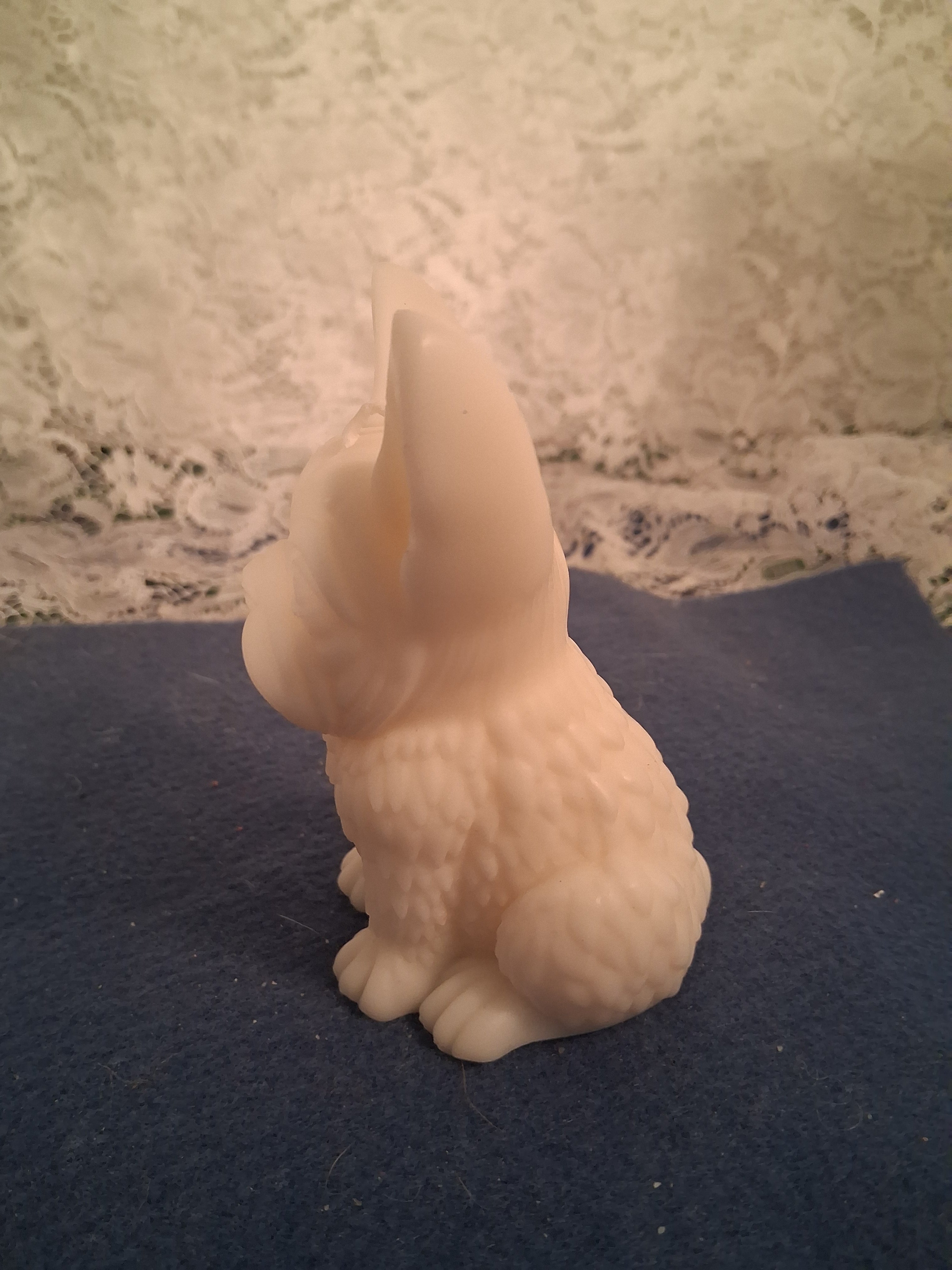 Firelight Frenchie 2