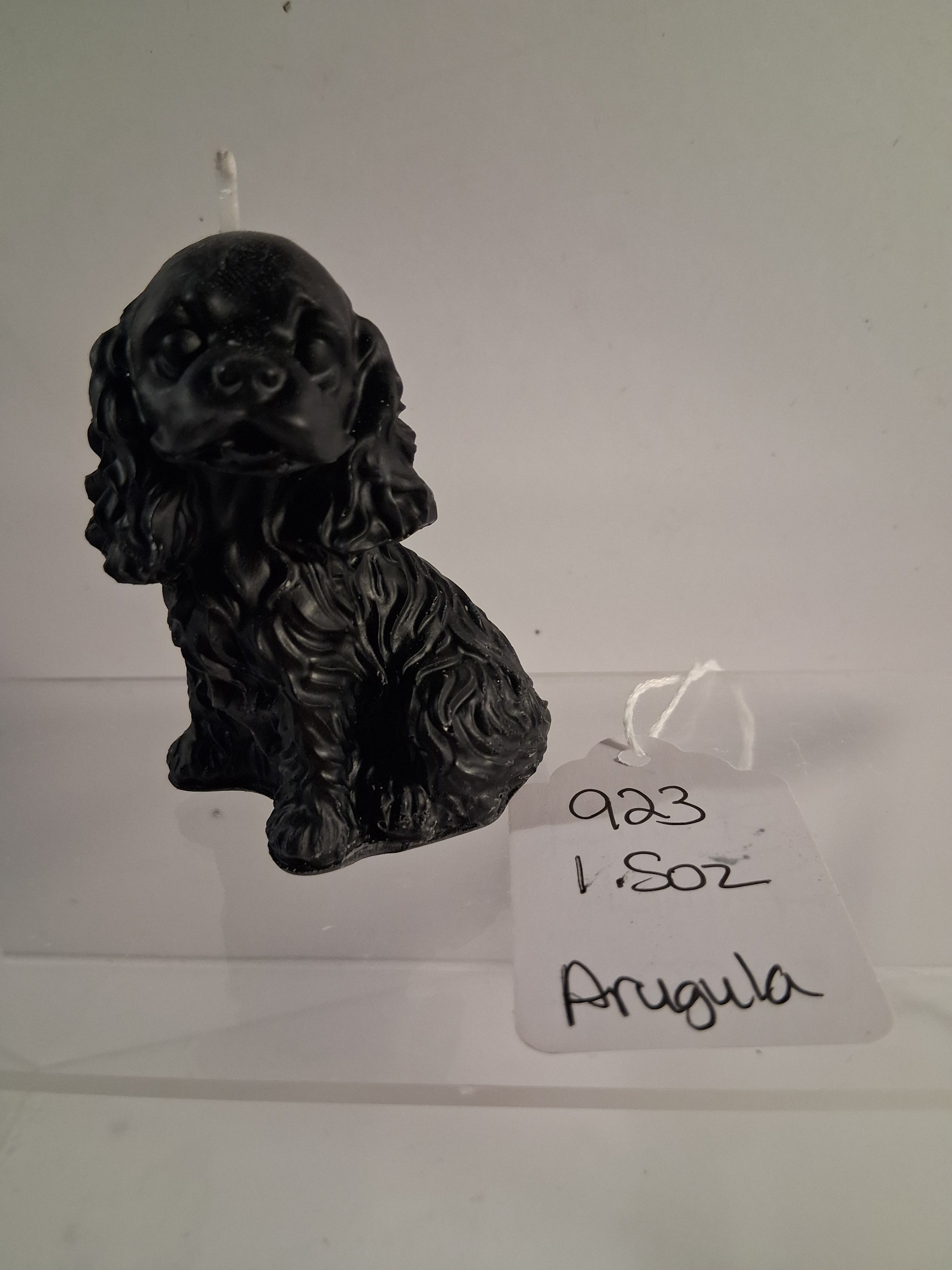 Spunky Spaniel