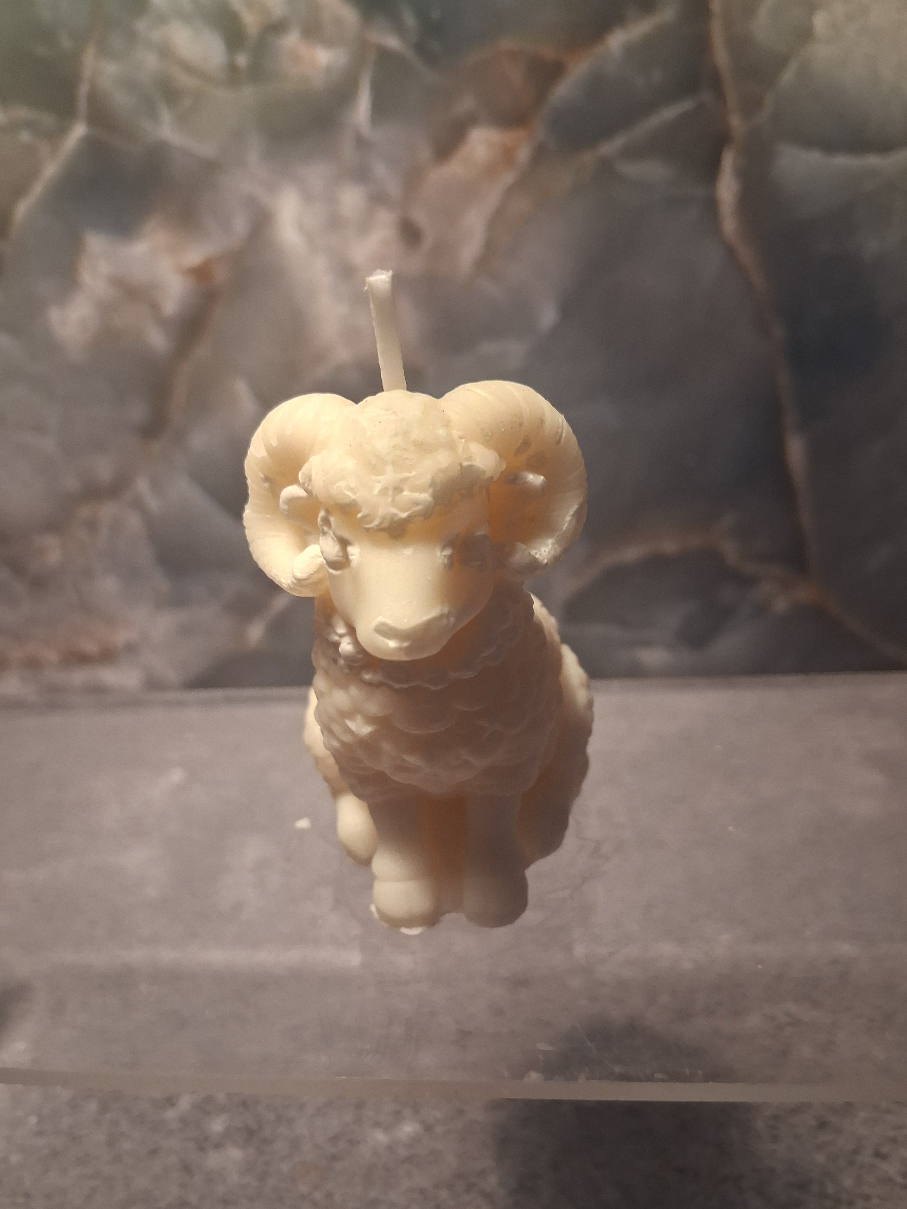 The Regal Ram