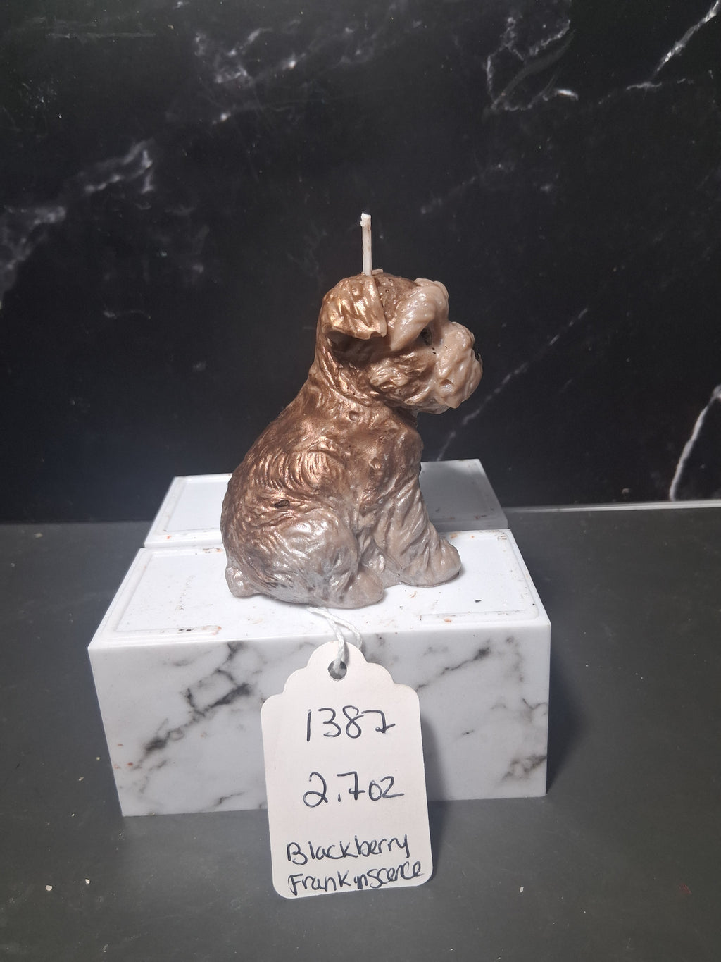 Terrier Treasure