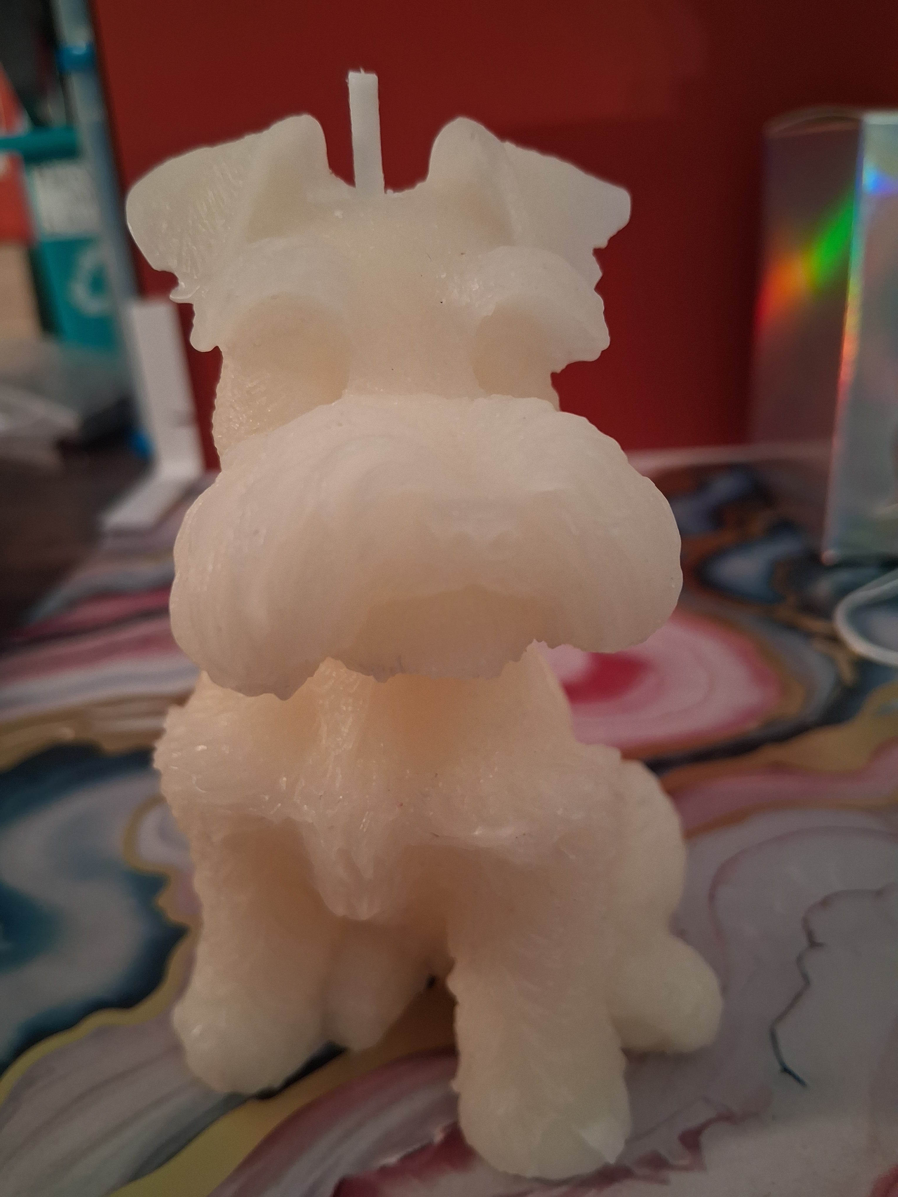 Schnauzer Spunkhouse