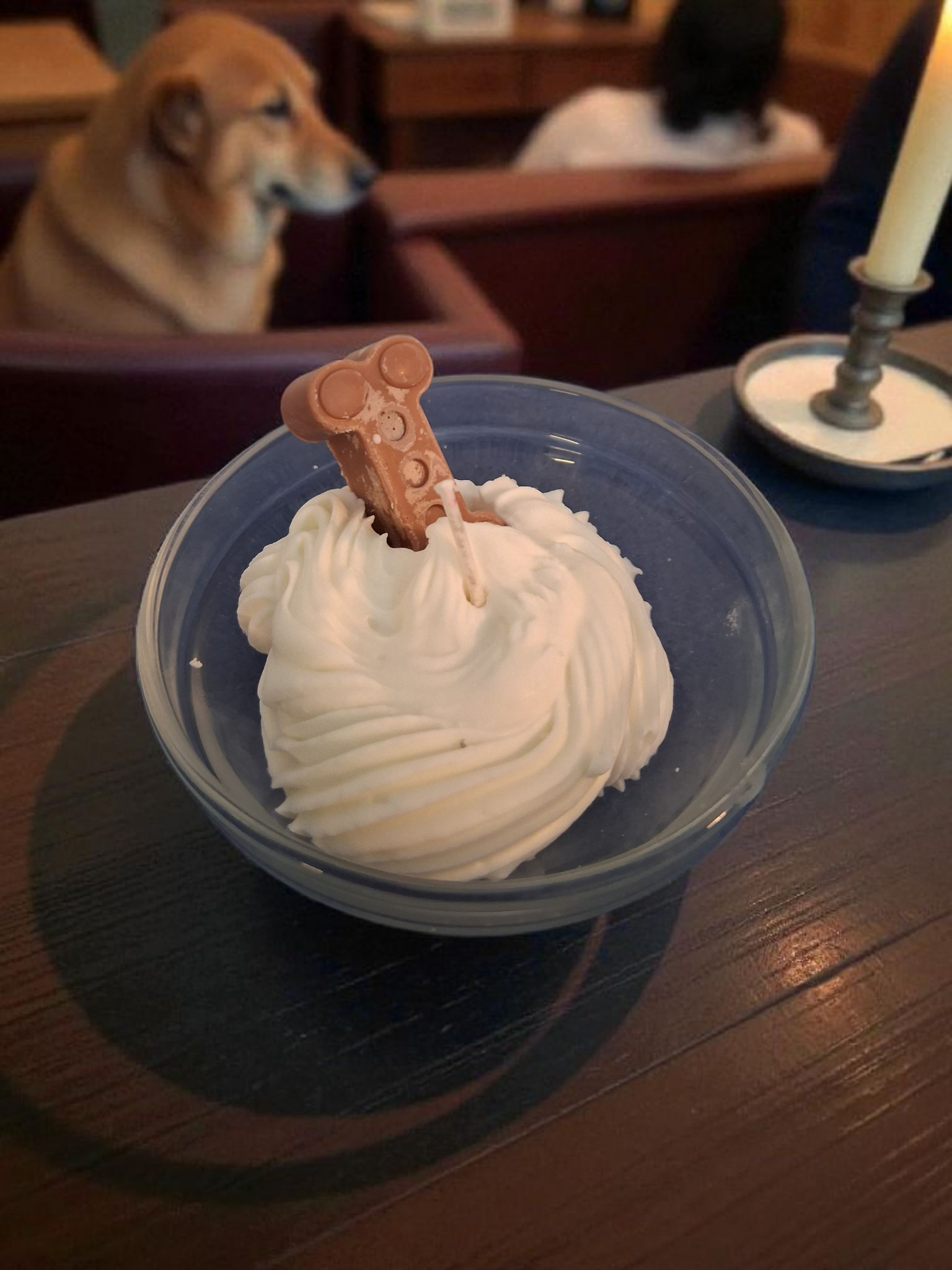 Pup Cup