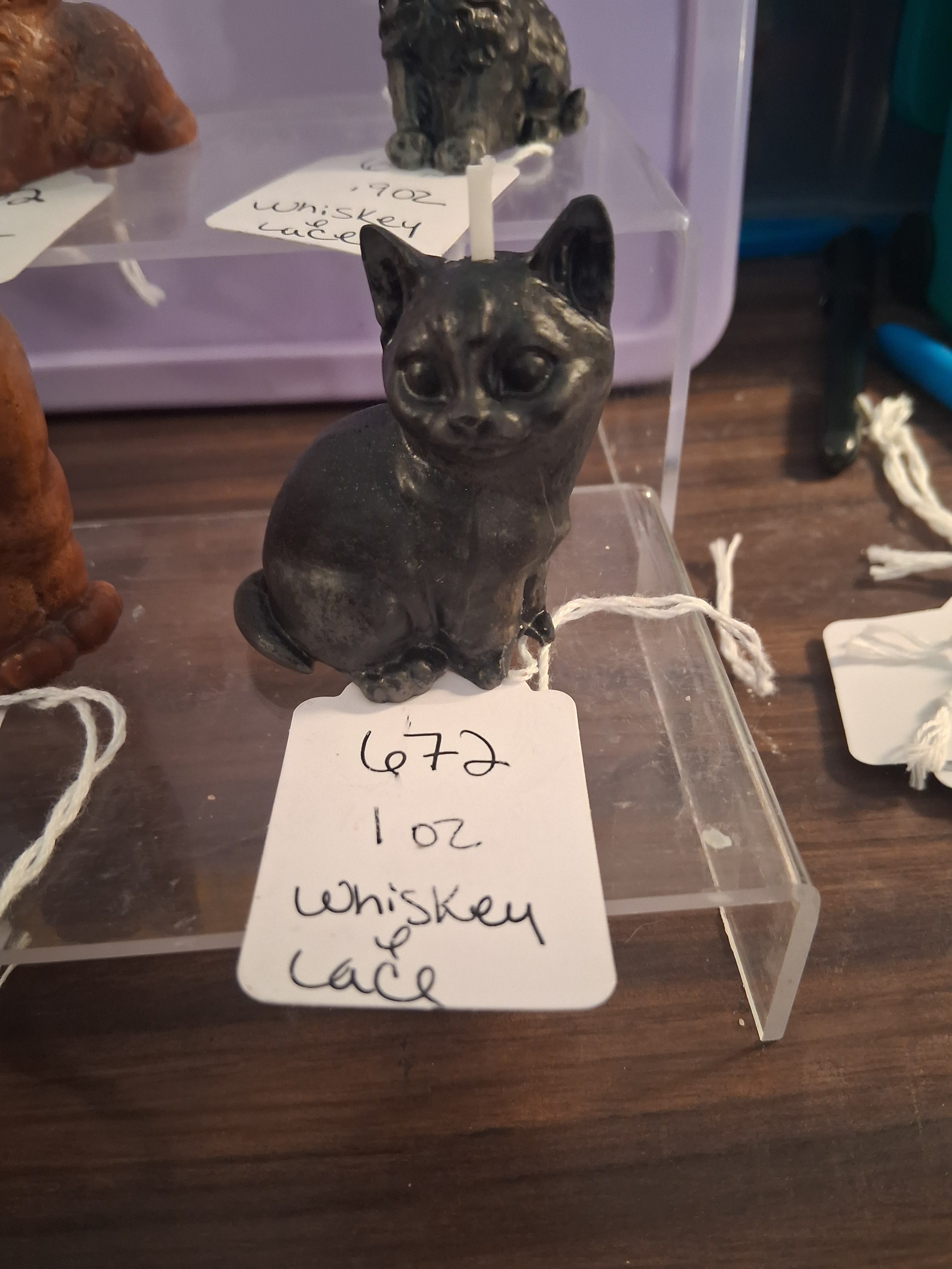 Sweet Kittens