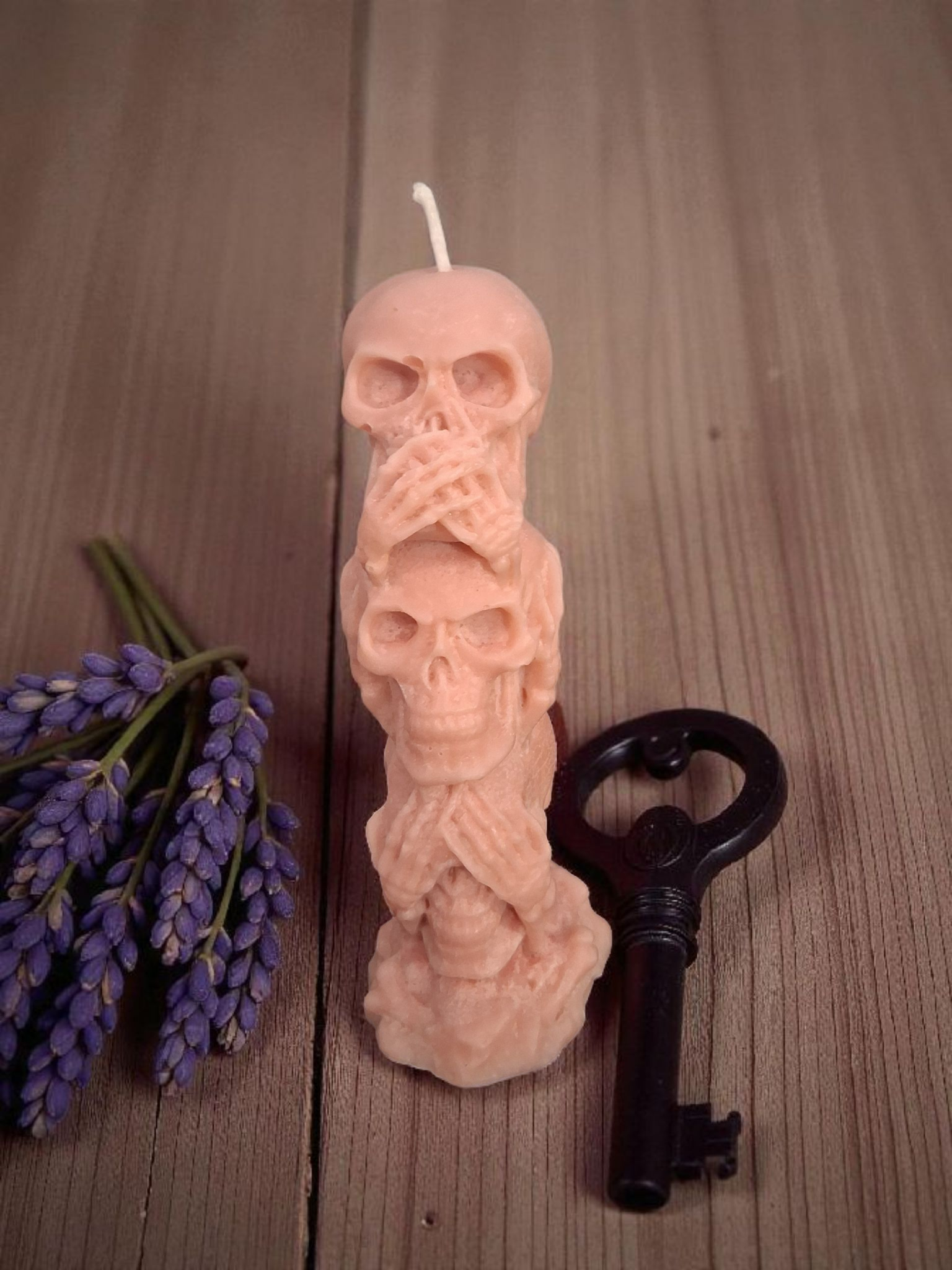 Silent Skull Sentinel ☠️